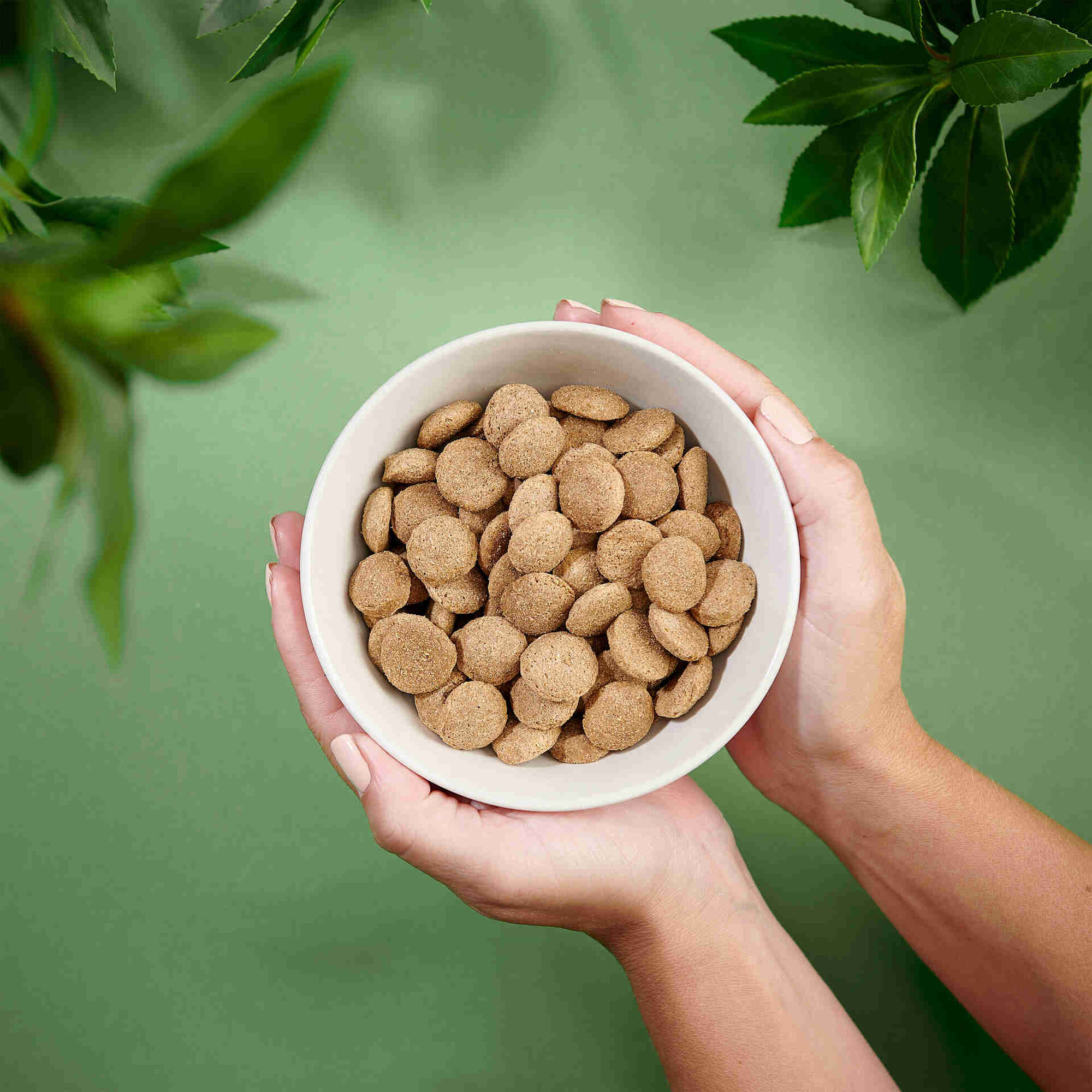 Ra&ccedil;&atilde;o para C&atilde;o Adulto Ra&ccedil;as Grandes Frango Purenatural