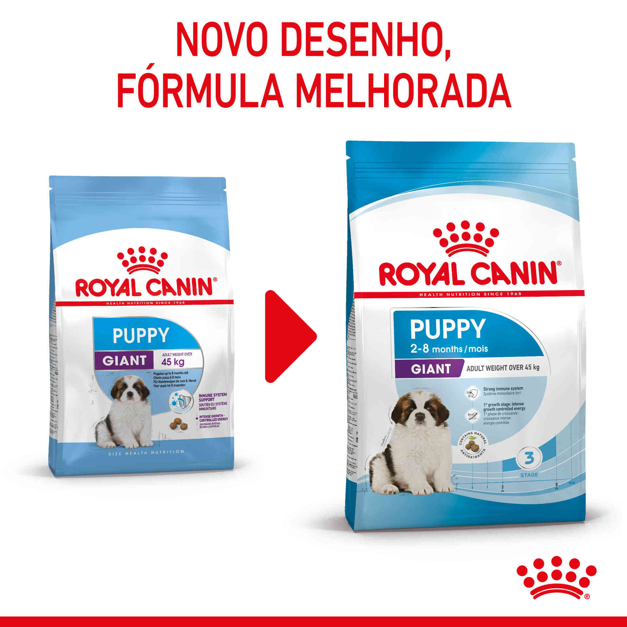 Ração para Cão Júnior Giant Ração para Cão Júnior Giant