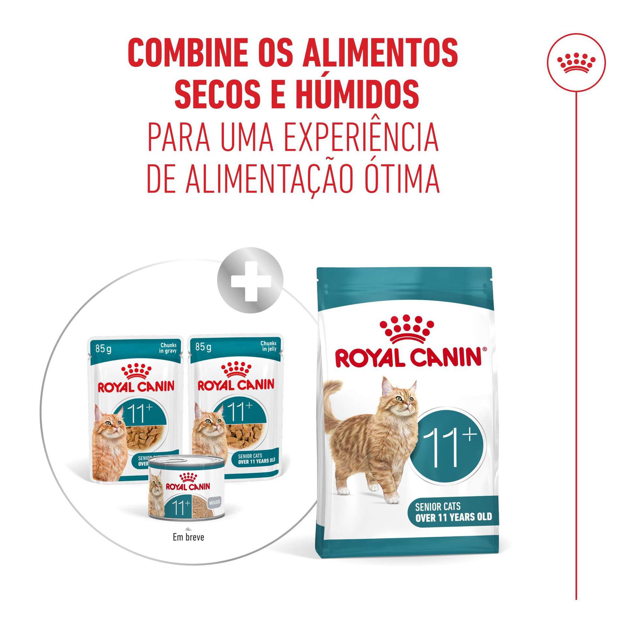 Comida Húmida para Gato Sénior Ageing+11 em Molho