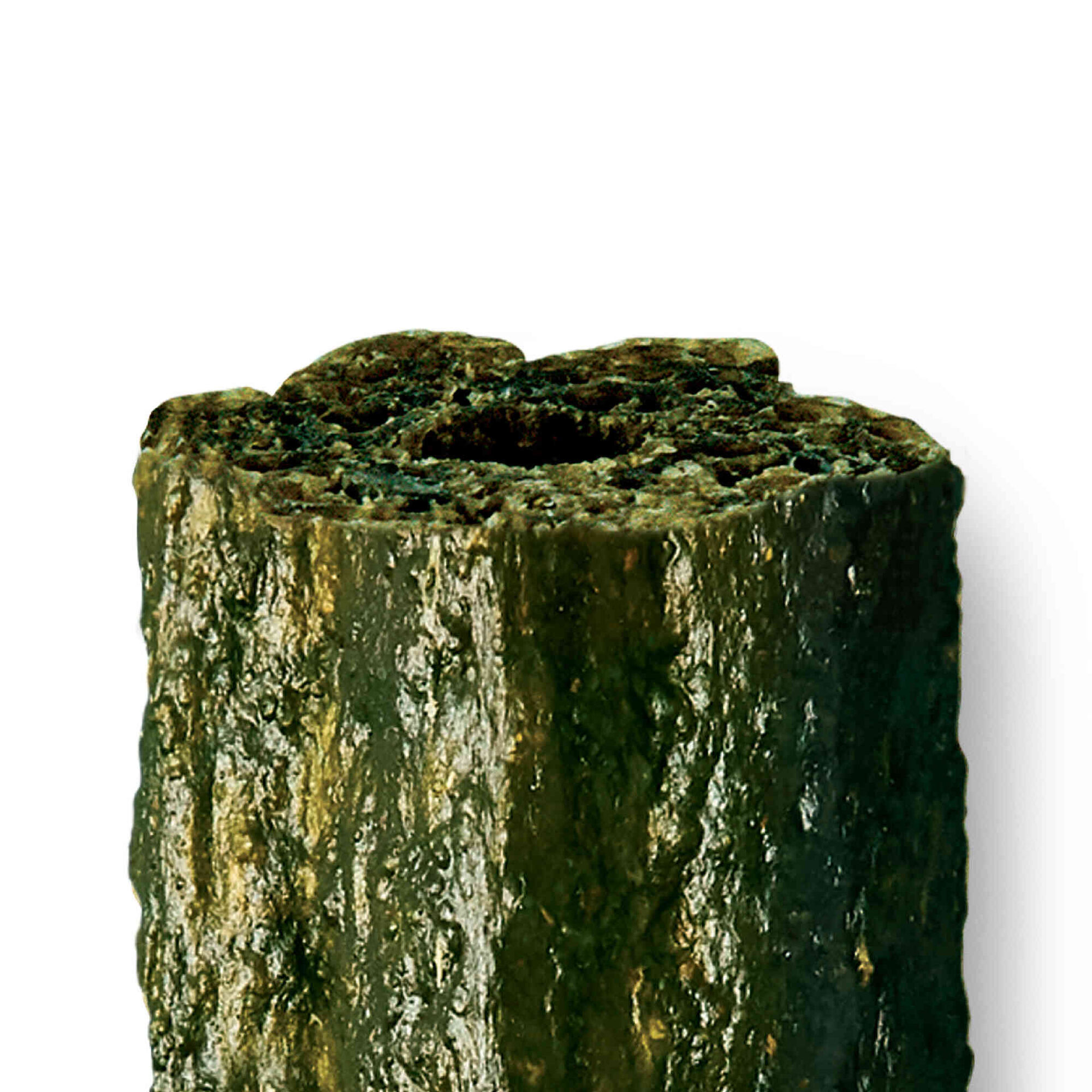 Snack para Cão Adulto Maxi Woofbrush Dental Chew