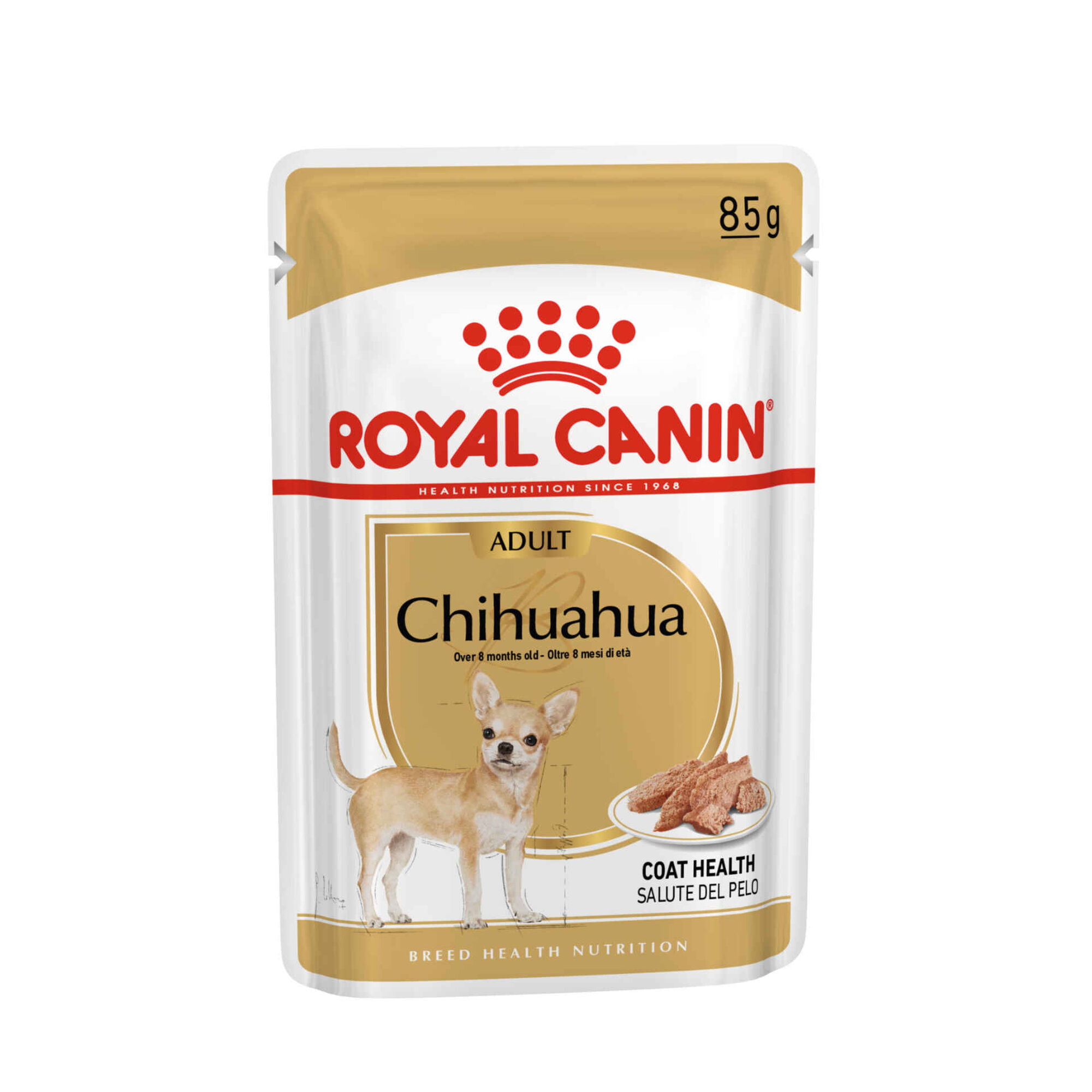 Caixa Comida Húmida para Chihuahua