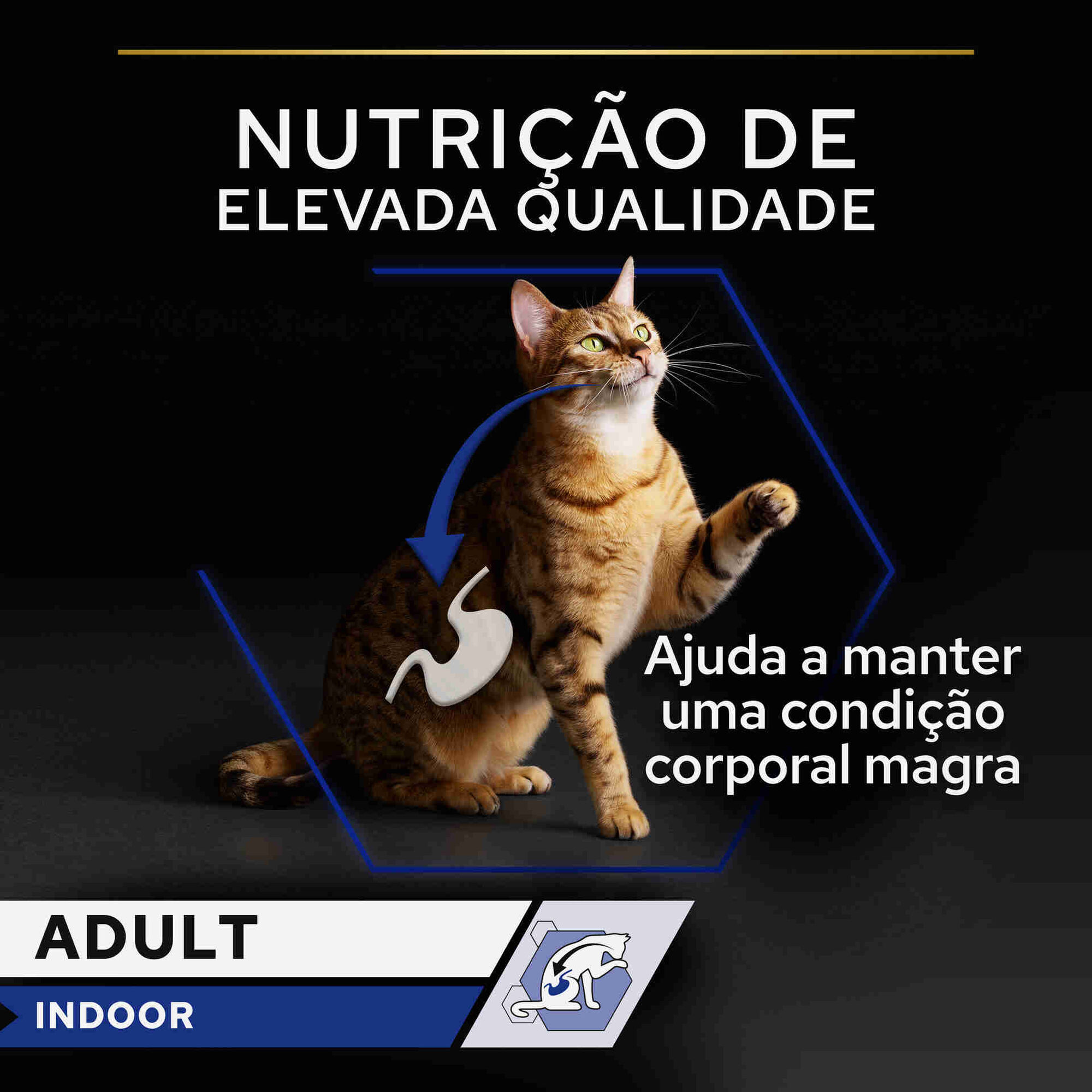 Comida Húmida para Gato Adulto Esterilizado Indoor Salmão