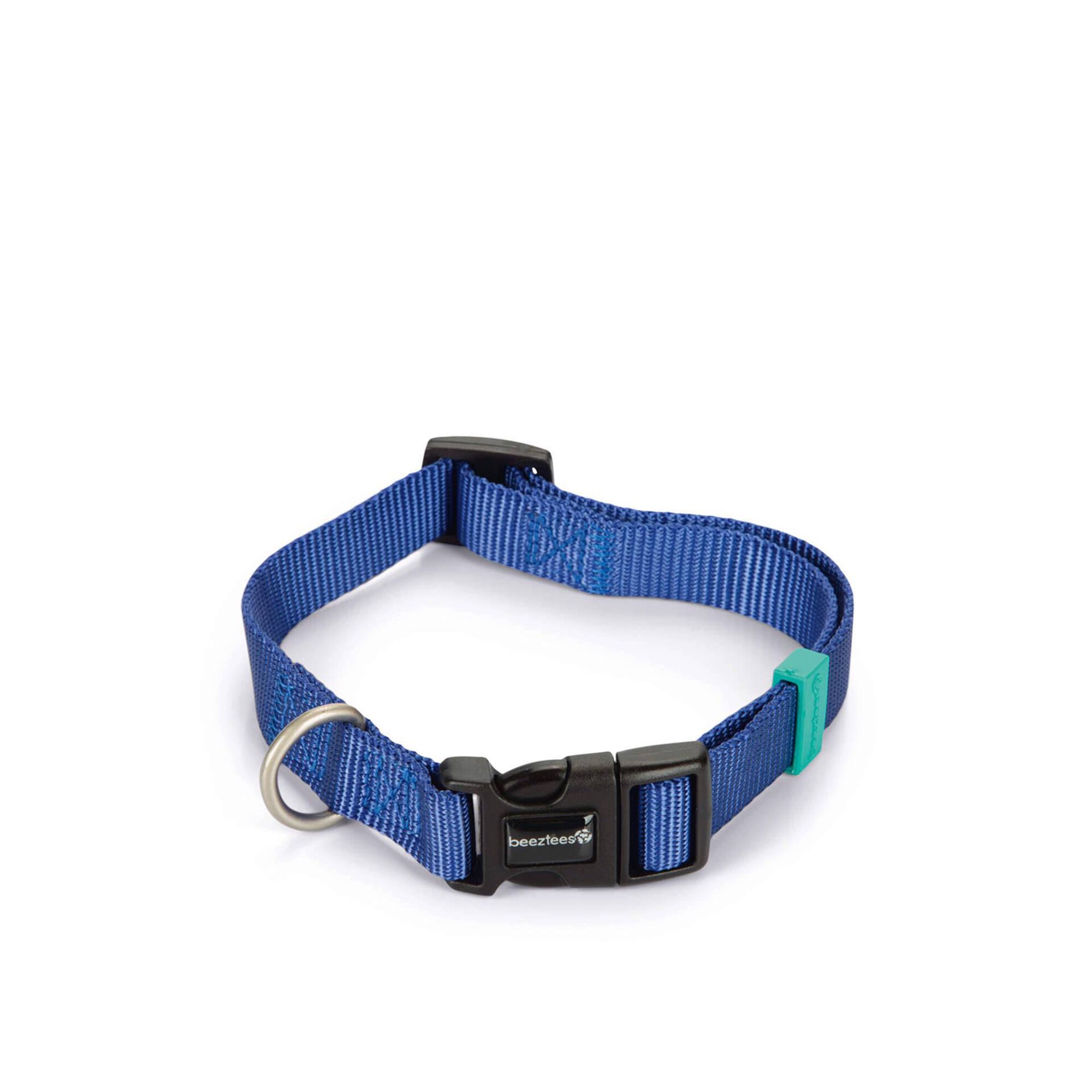 Coleira para C&atilde;o Nylon Azul