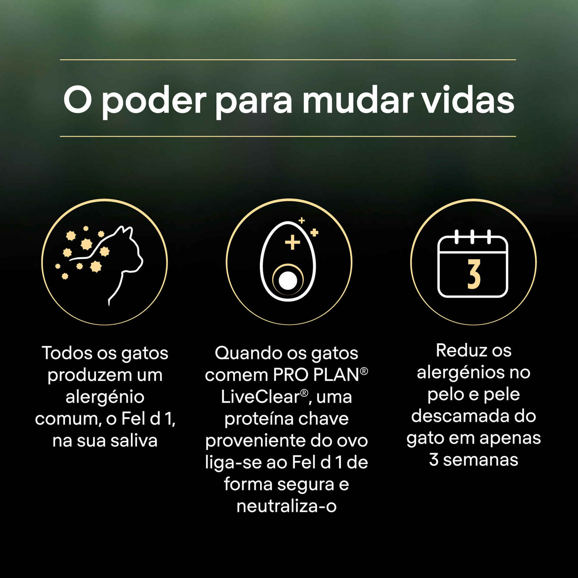 Ração para Gato Sénior Esterilizado Ageing +7 Live Clear Peru