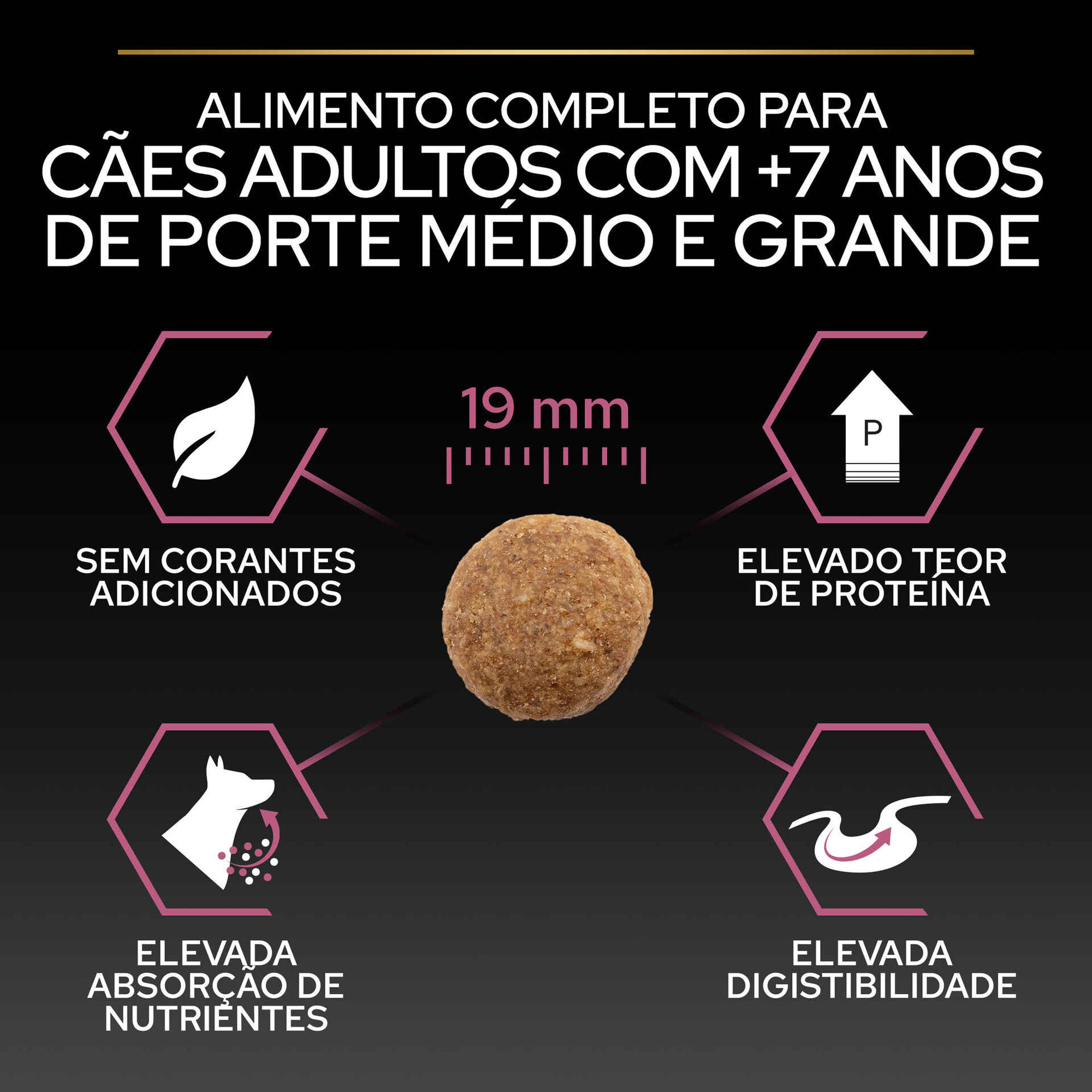 Ração para Cão Adulto Ageing 7+ Médio e Maxi Sensitive Skin Salmão