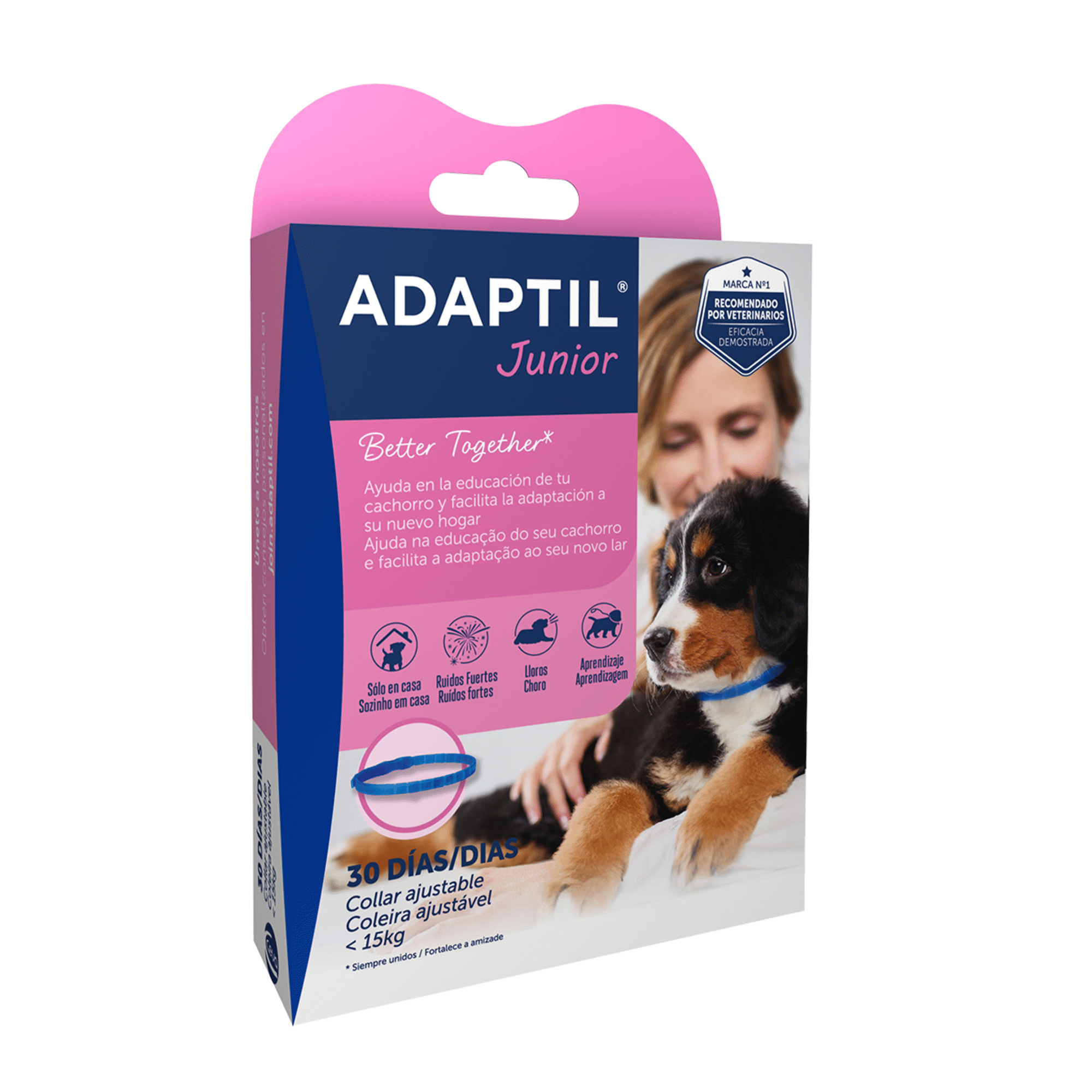 Coleira para Cão Júnior Coleira para Cão Júnior