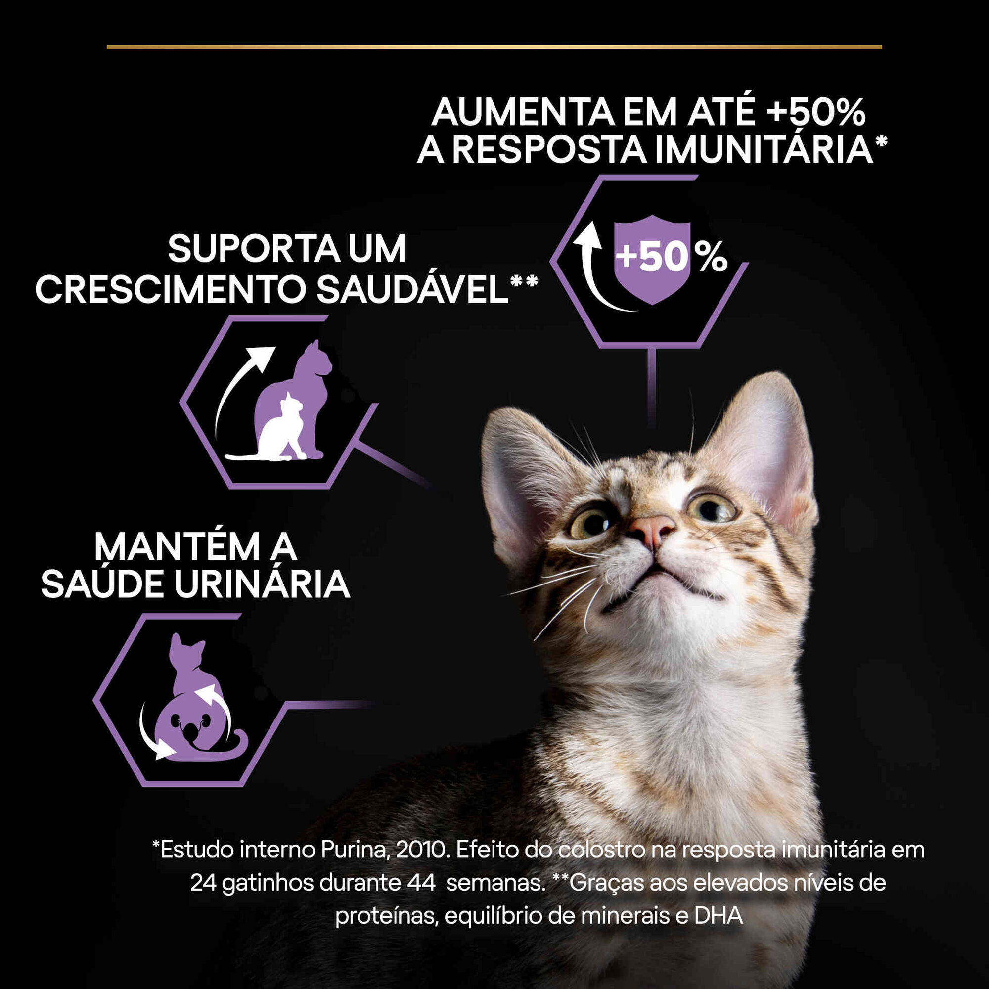 Ração para Gato Júnior Healthy Start Frango Ração para Gato Júnior Healthy Start Frango