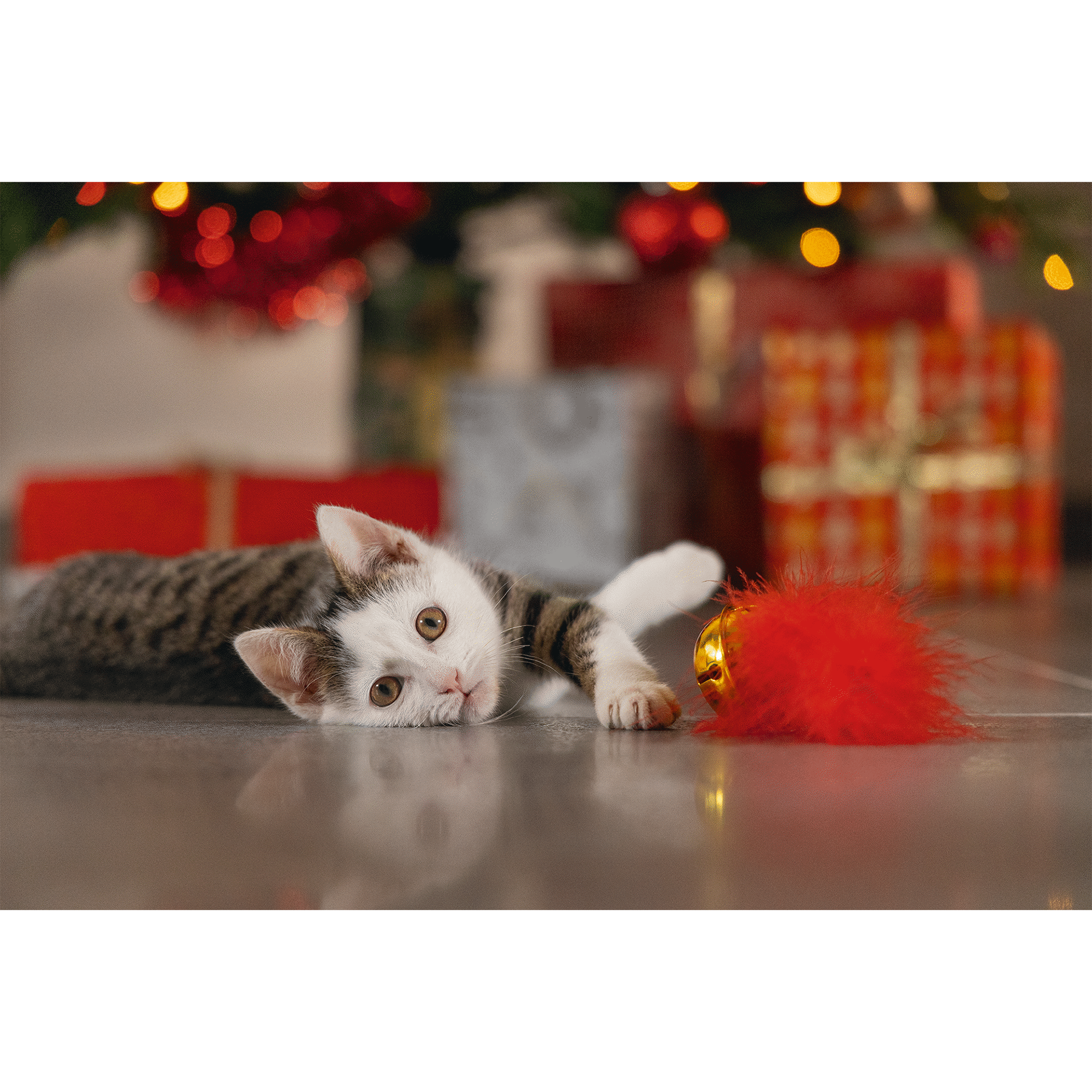 Brinquedo para Gato Guizo Natal com Pena Vermelha Beeztees