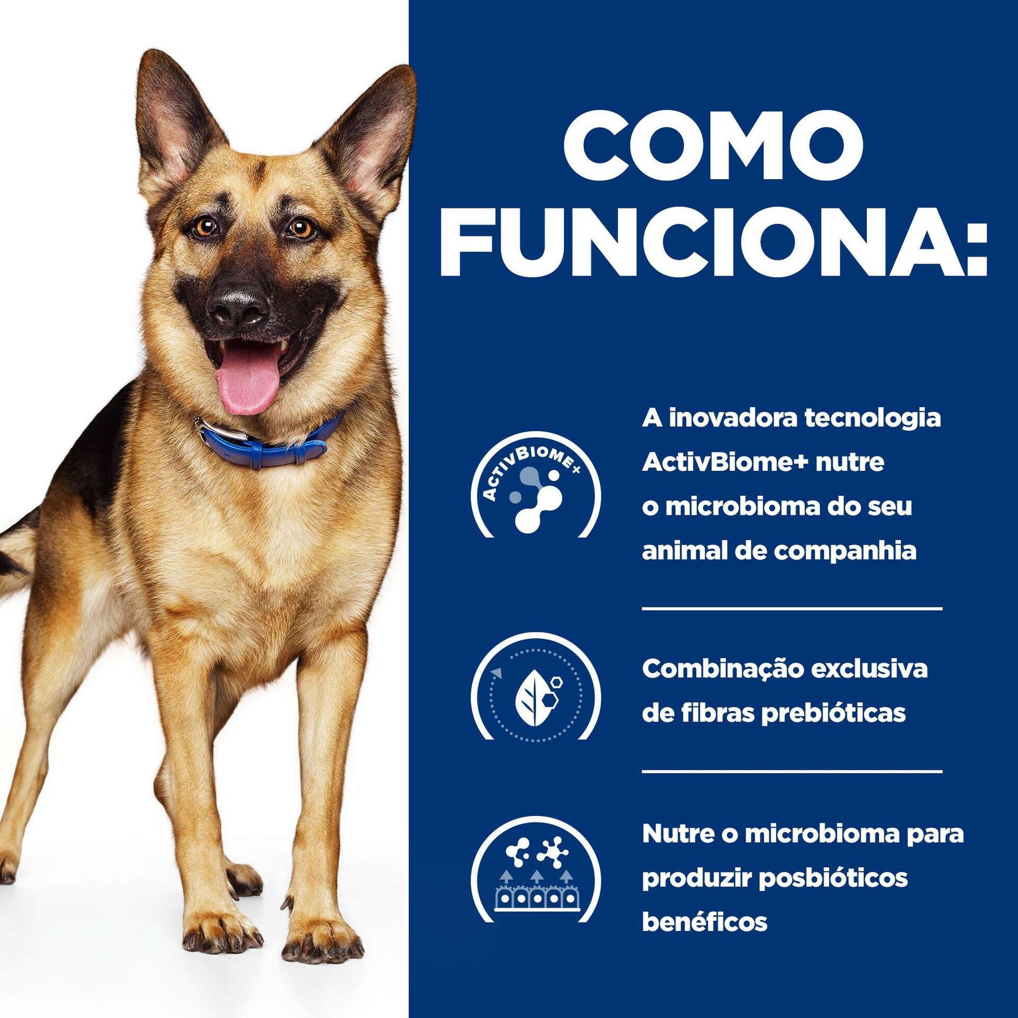 Ra&ccedil;&atilde;o para C&atilde;o Prescription Diet Gastrointestinal Biome Frango