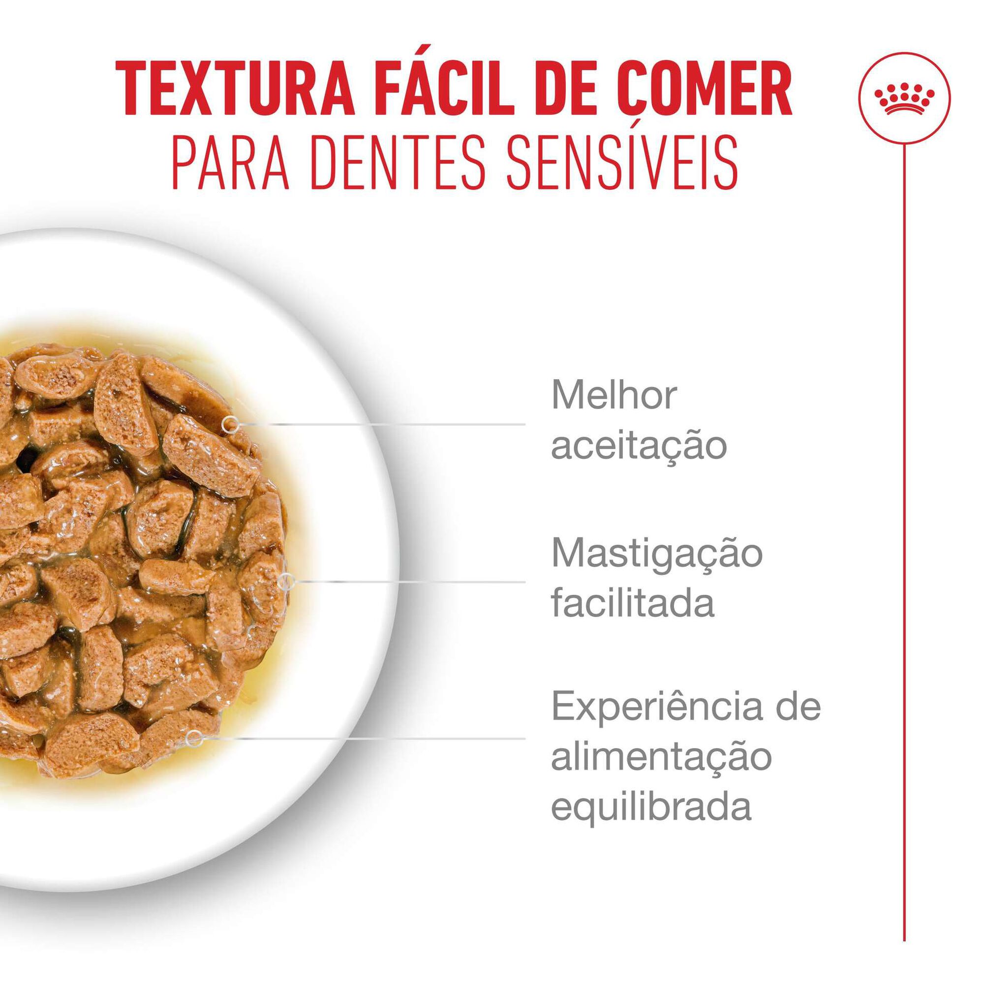 Pack Comida Húmida para Gato Sénior Ageing+15 em Molho