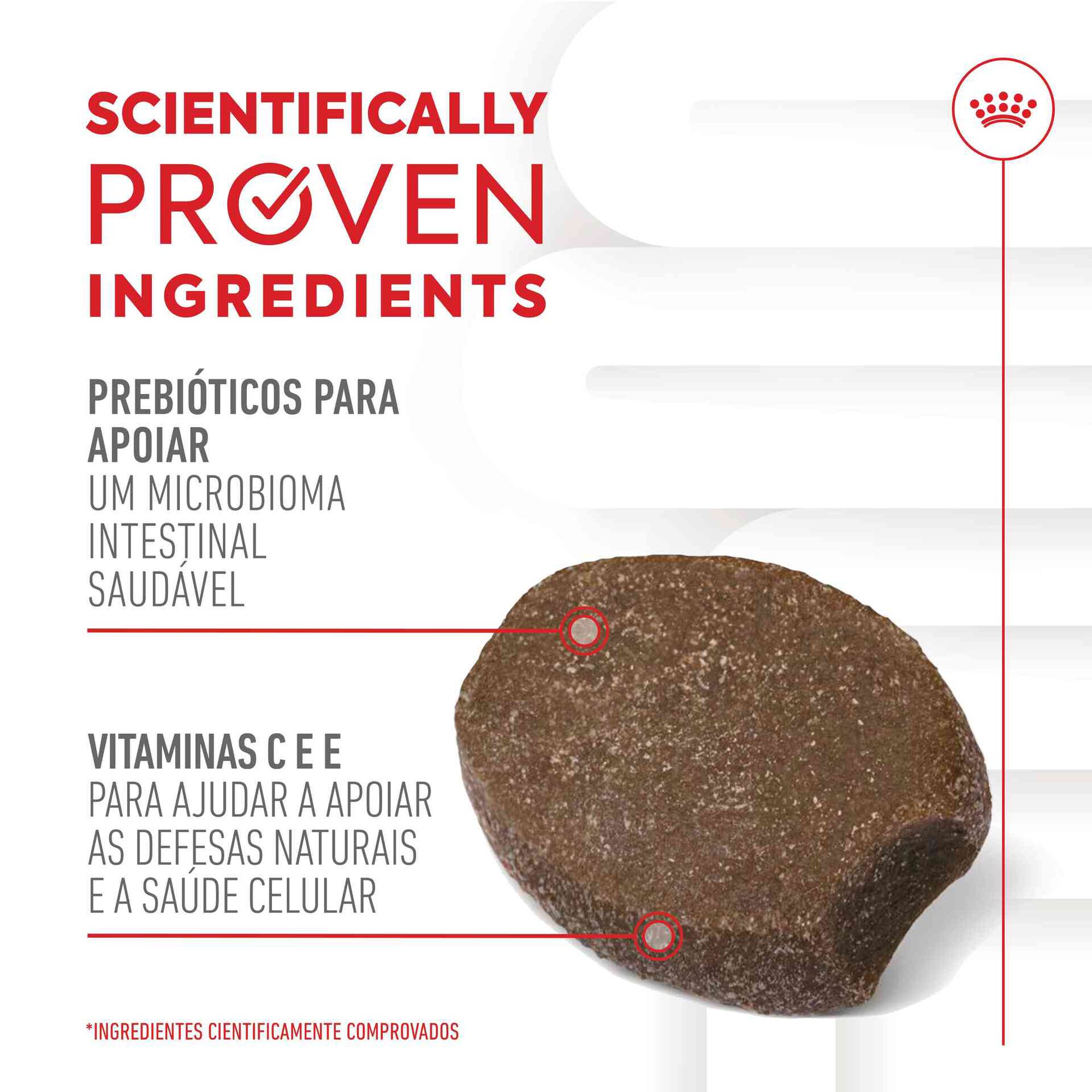 Suplemento Snack para Cão Júnior Immunity&Digestion Chews