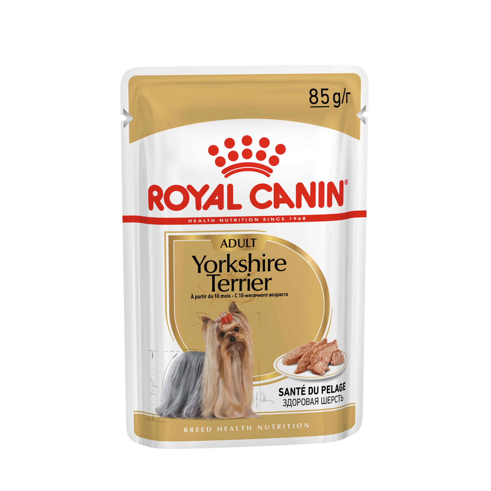 Caixa Comida Húmida para Cão Adulto Yorkshire