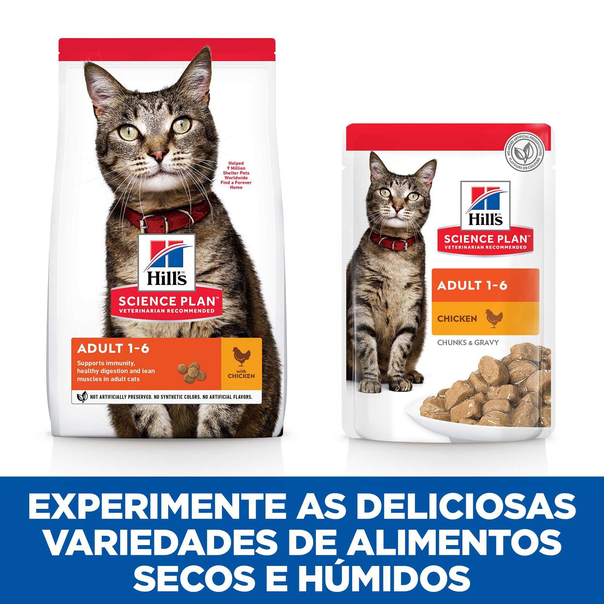 Comida Húmida para Gato Adulto Science Plan Frango