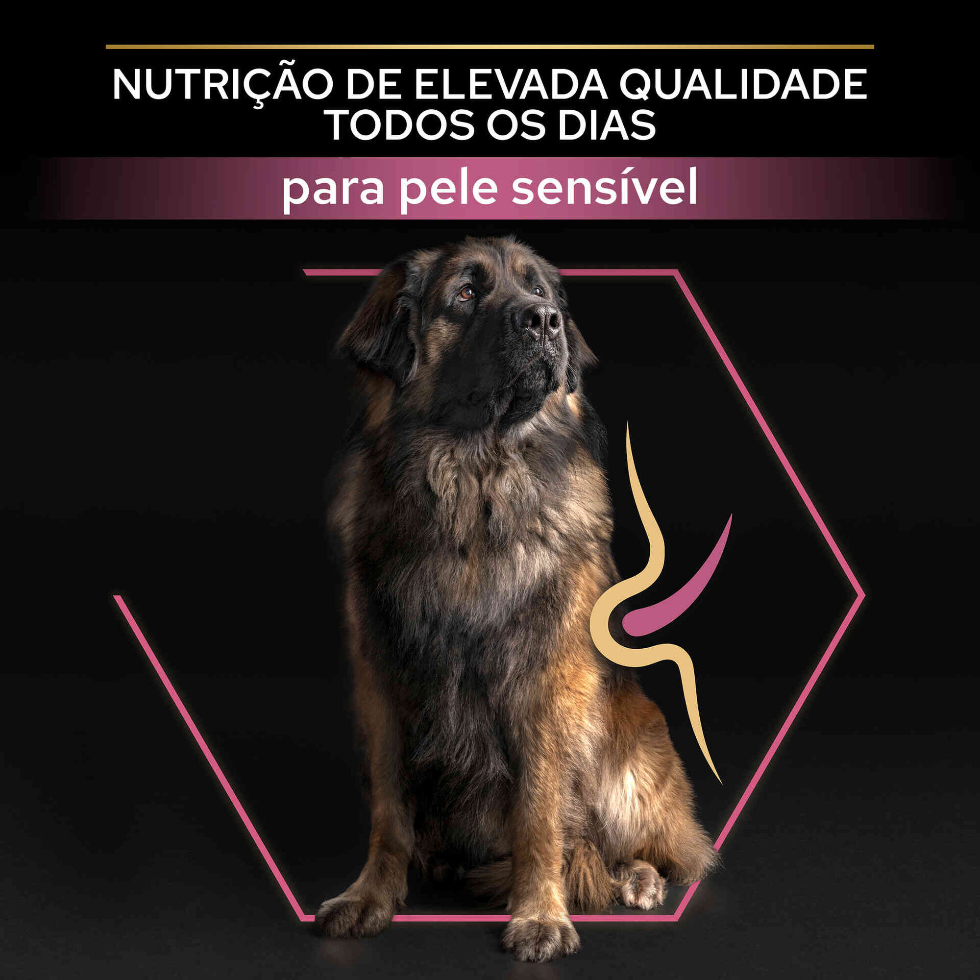 Ração para Cão Maxi Robust Sensitive Skin Salmão