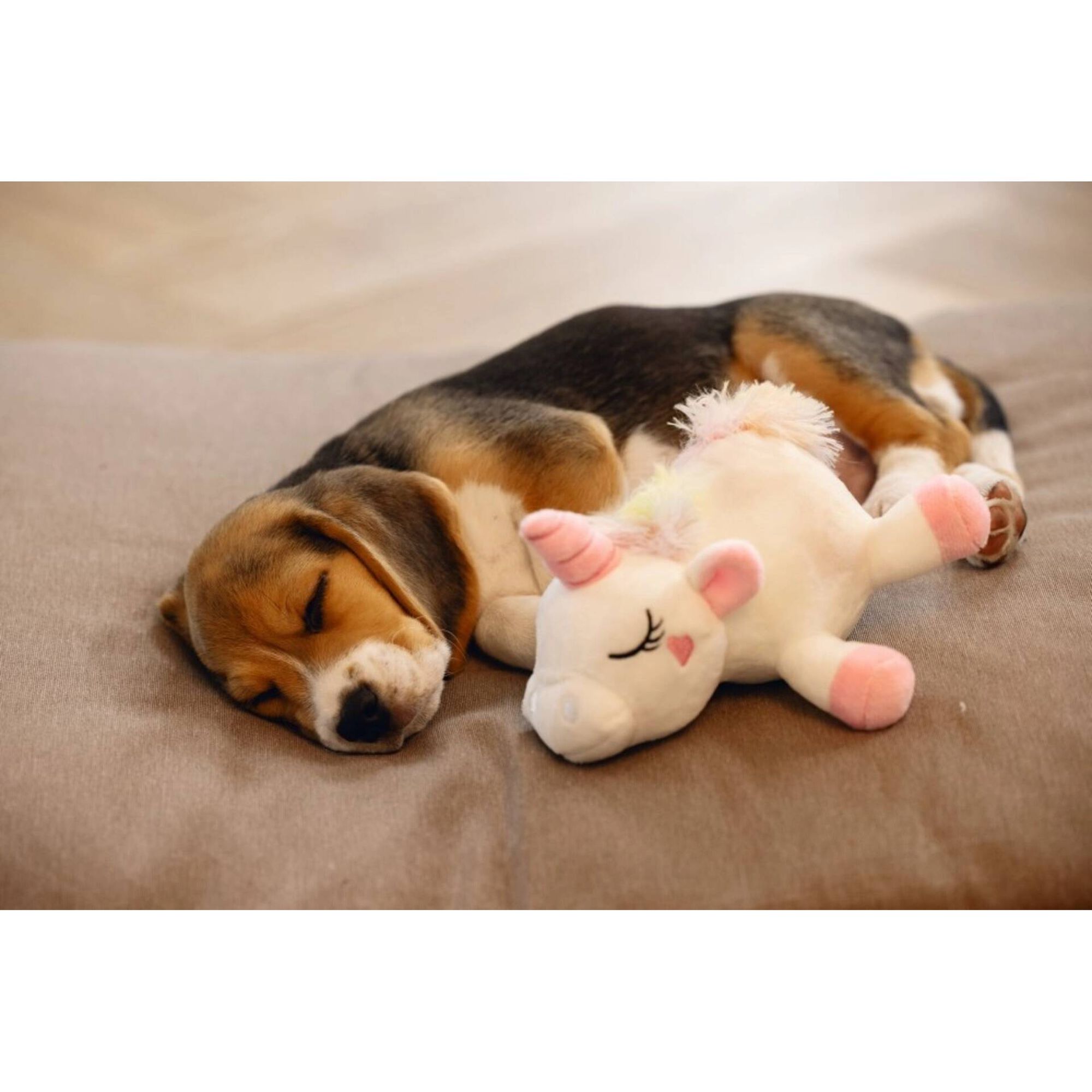 Brinquedo para Cão Unicórnio Branco