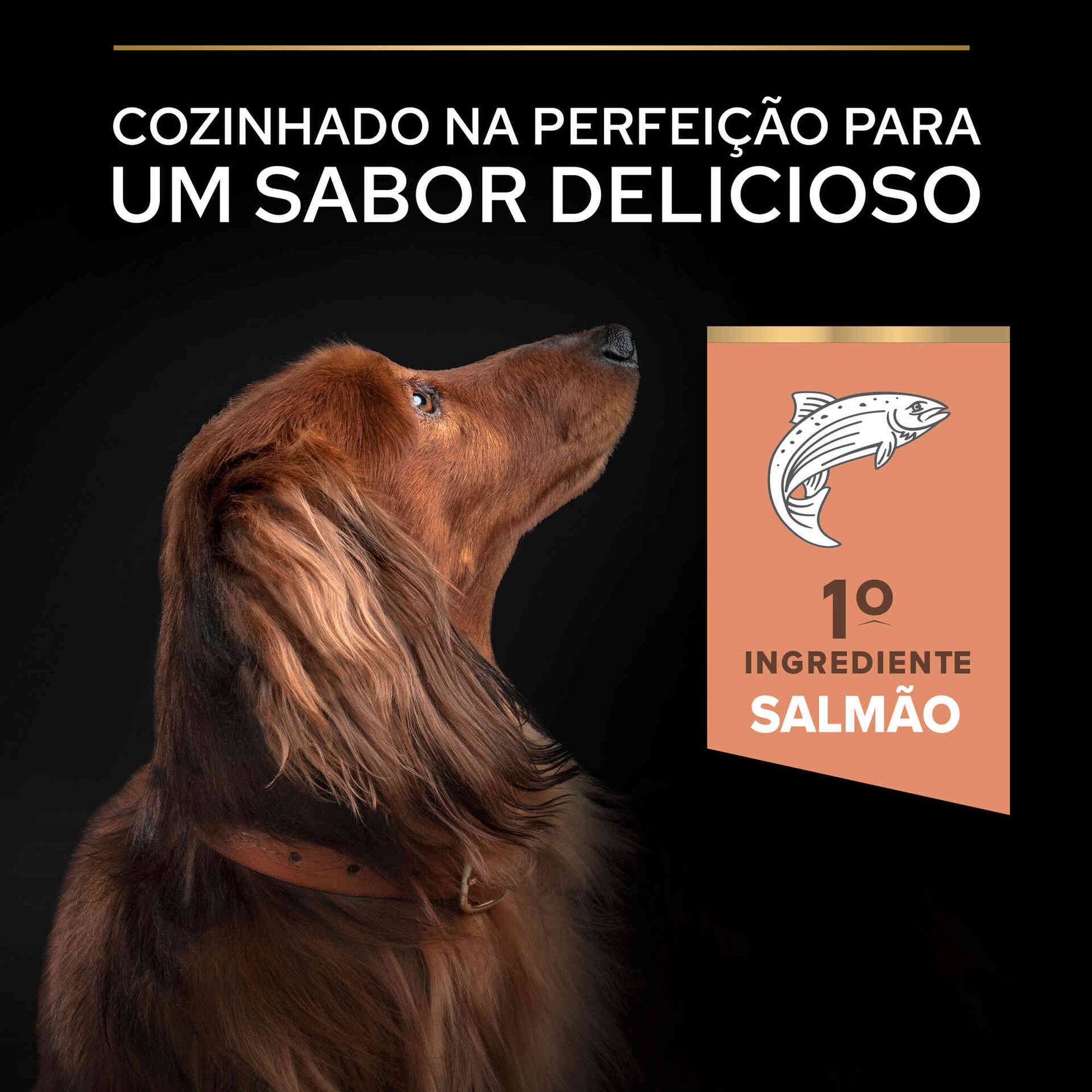 Ração para Cão Adulto Mini Sensitive Skin Salmão
