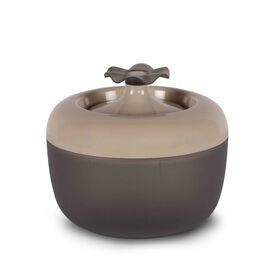 Fonte Málaga Tulipano Mocaccino