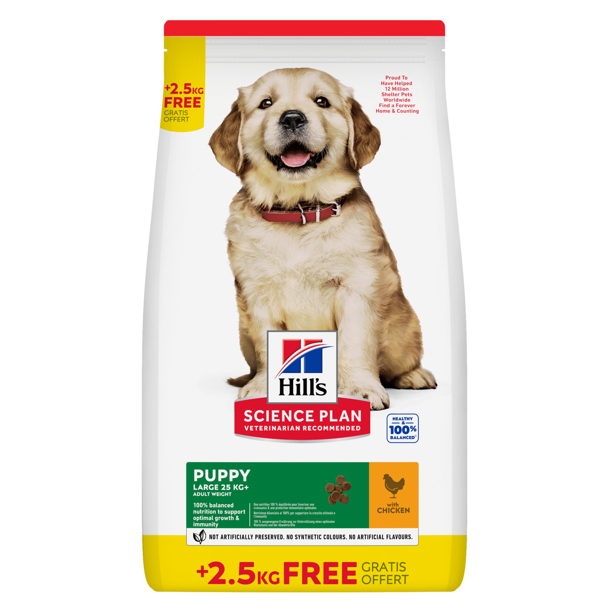 Ração para Cão Júnior Raças Grandes Science Plan Frango