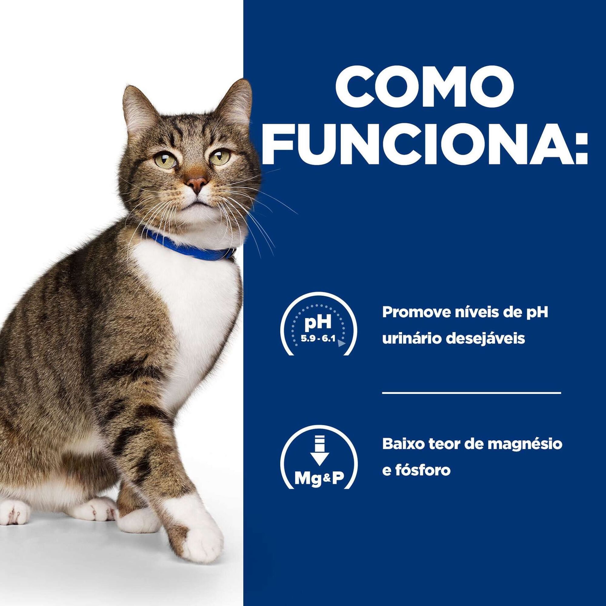 Comida H&uacute;mida para Gato Prescription Diet Urinary Care Frango