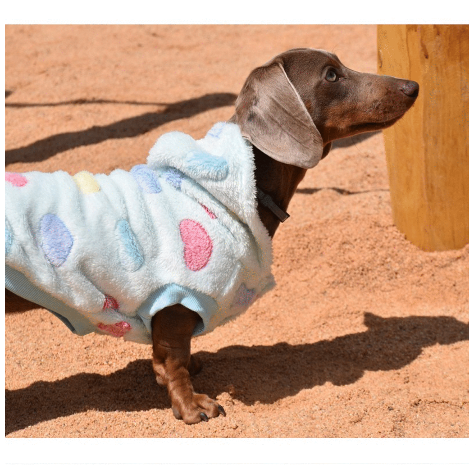 Camisola para Cão Polar com Capuz Didi 30 cm