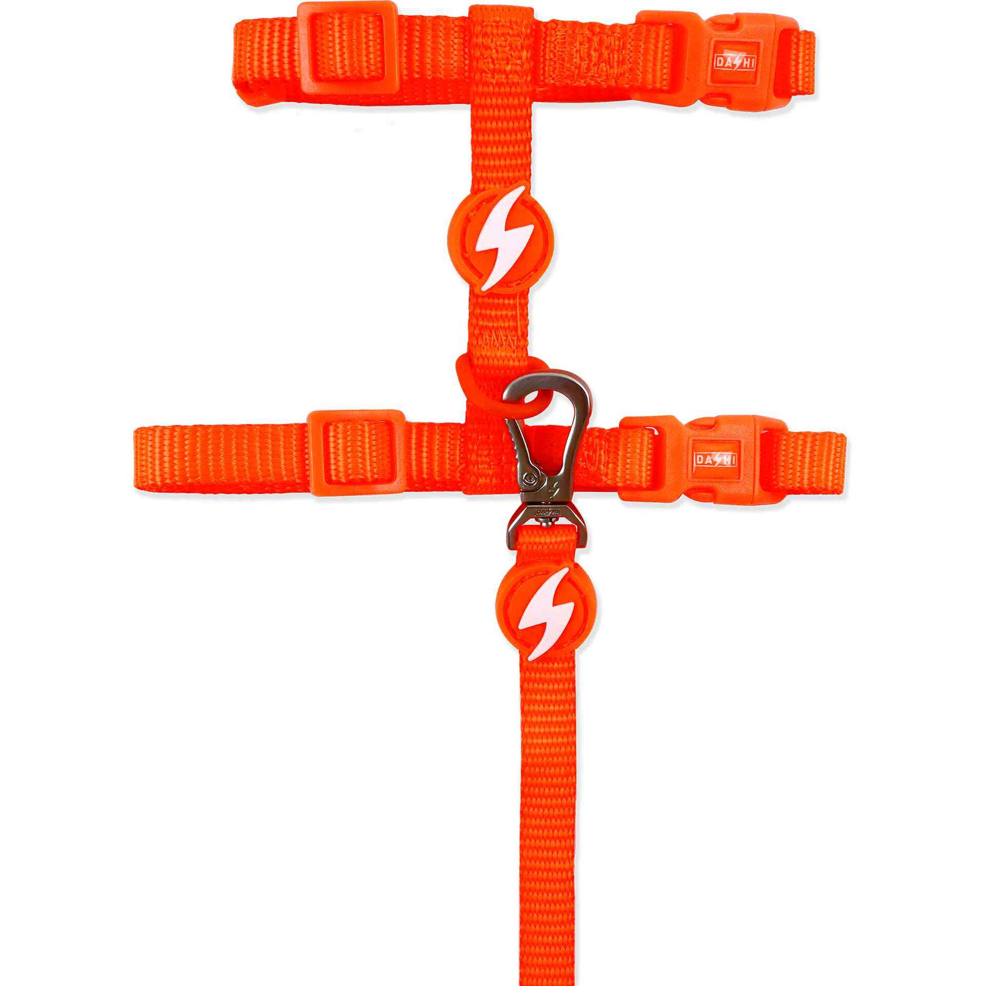 Trela e Arnês para Gato Laranja Neon