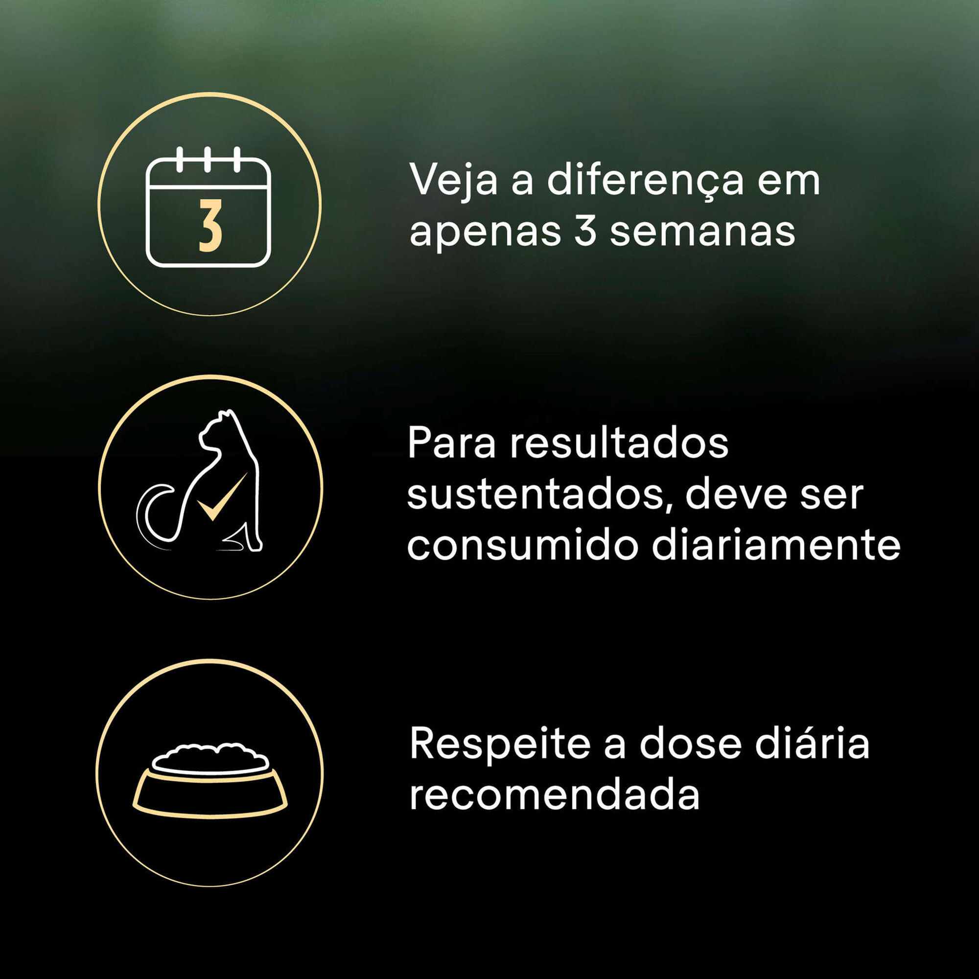 Ração para Gato Sénior Esterilizado Ageing +7 Live Clear Peru