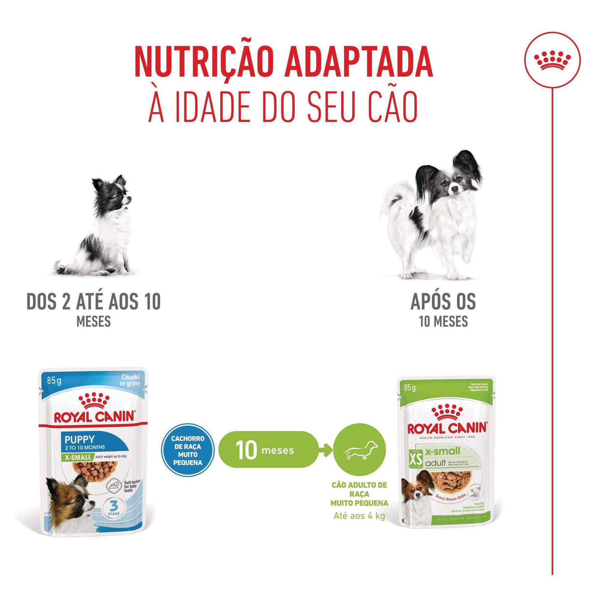 Comida Húmida para Cão Júnior X-Small