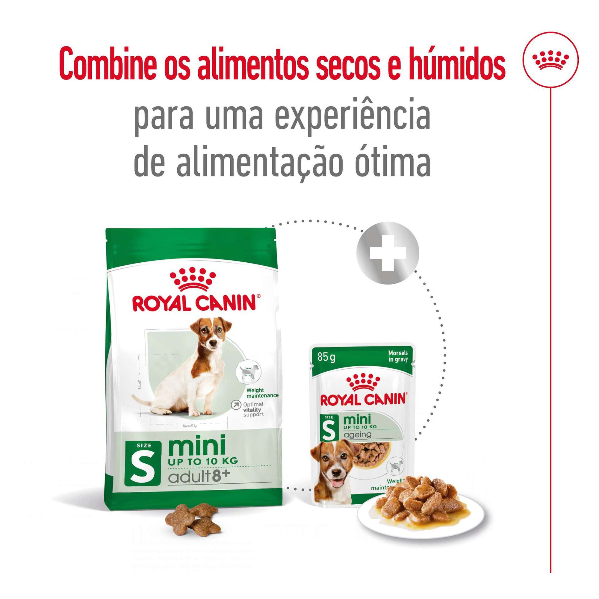 Ração para Cão Adulto Mini 8+