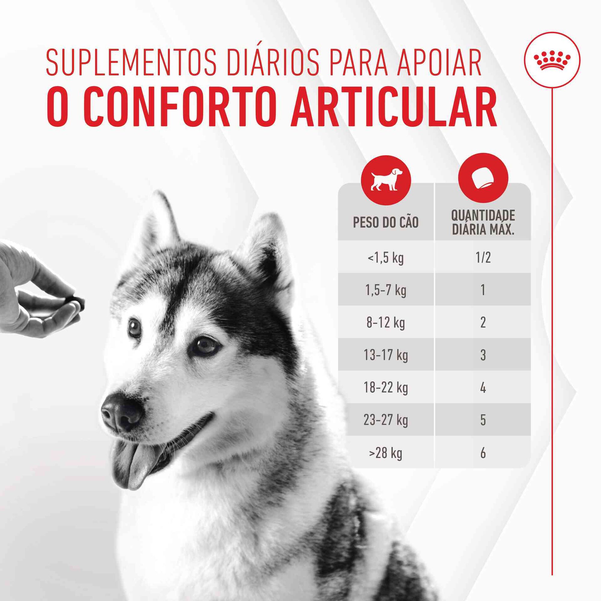 Suplemento Snack para Cão Adulto Joint&Ageing Chews
