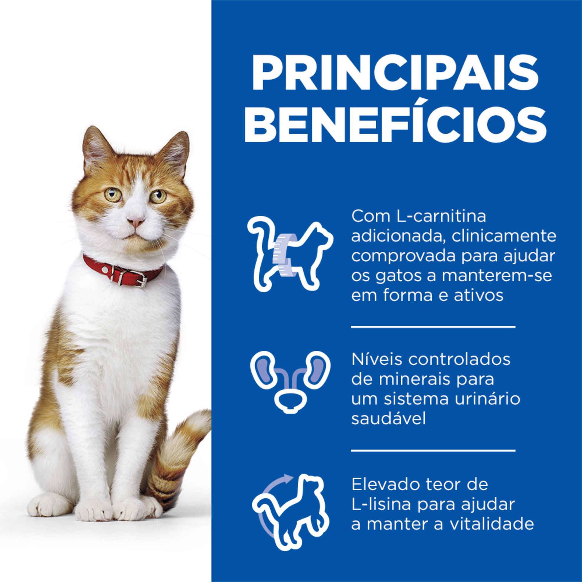 Ração para Gato Adulto Esterilizado Science Plan Salmão