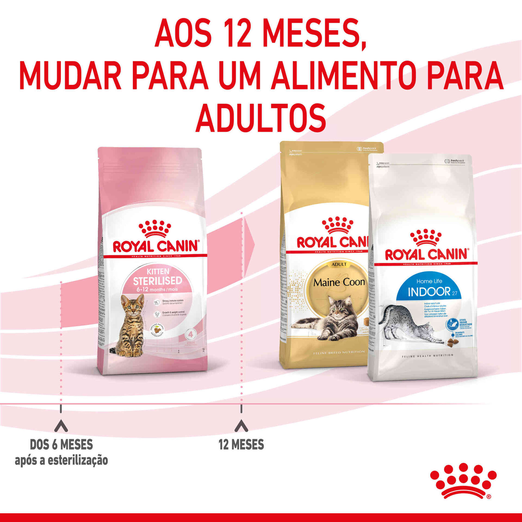 Ração para Gato Esterilizado Júnior