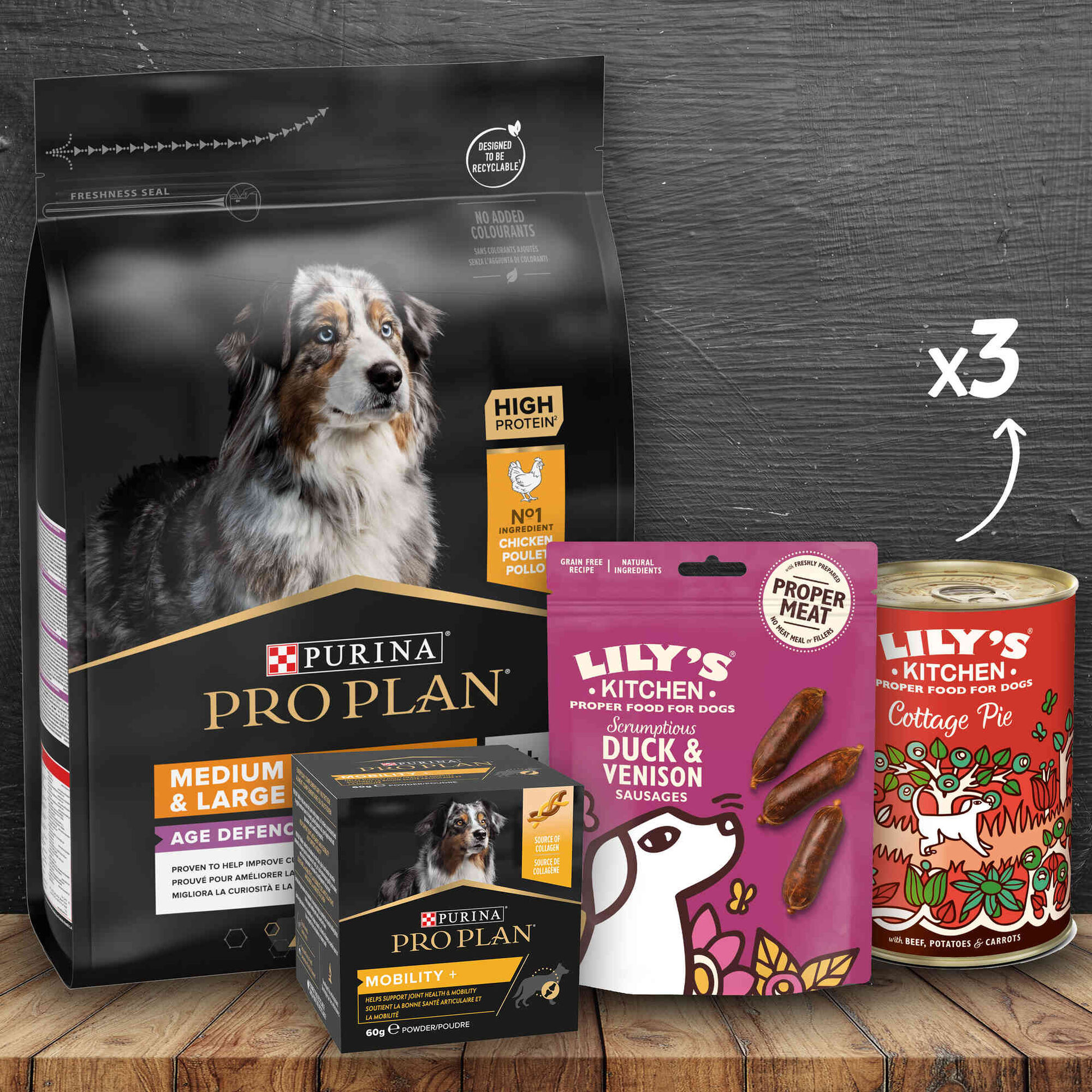 Kit de Alimentação para Cão Sénior