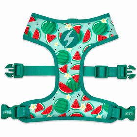 Peitoral para Cão Eco Breeze Peitoral para Cão Eco Breeze