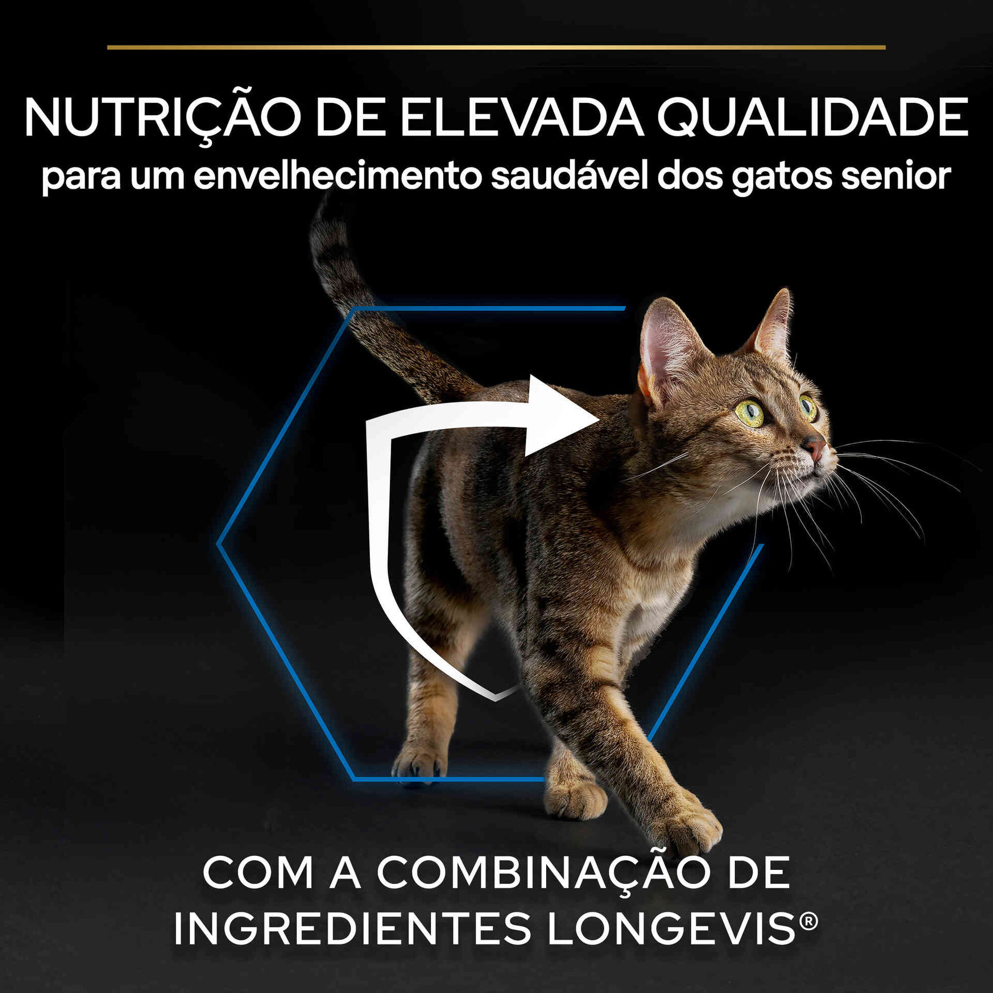Ração para Gato Sénior Longevis Salmão