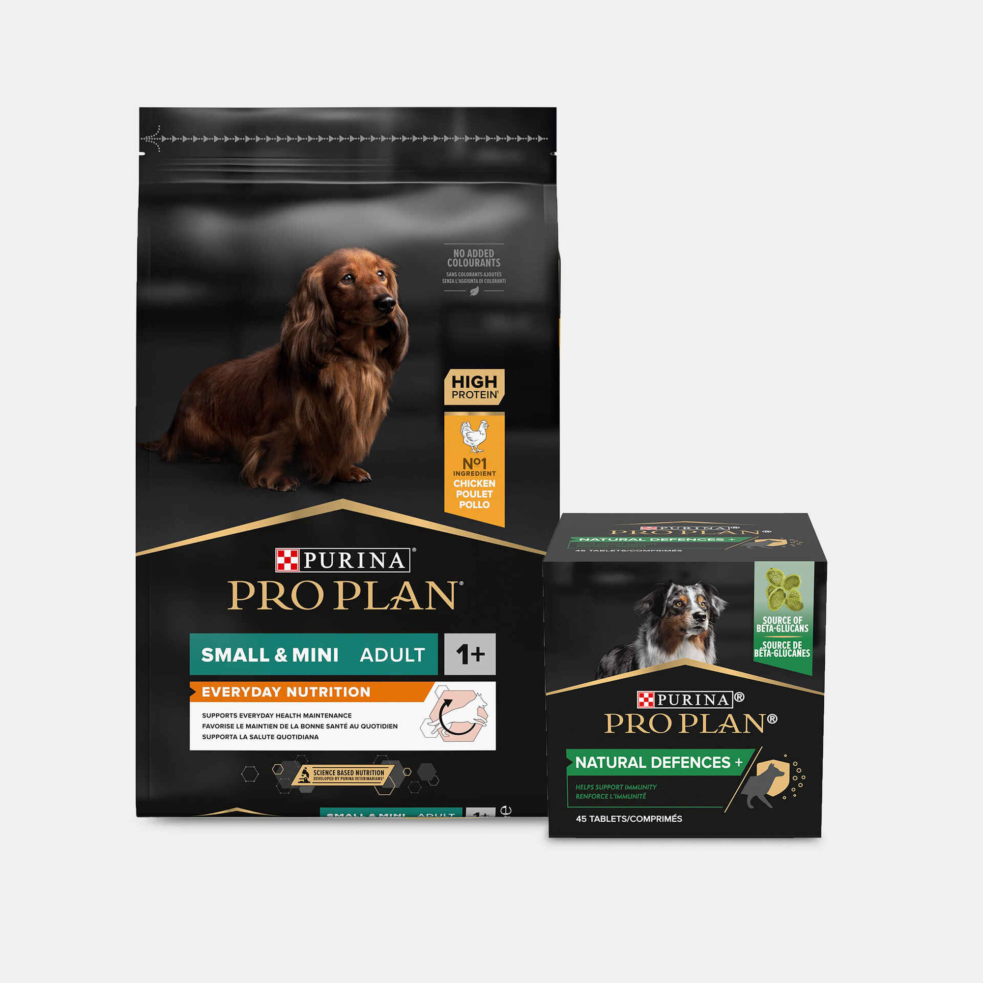 Ração e Suplementos Para o Seu Cão Ração e Suplementos Para o Seu Cão