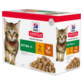 Comida Húmida para Gato Júnior Science Plan Frango e Peru