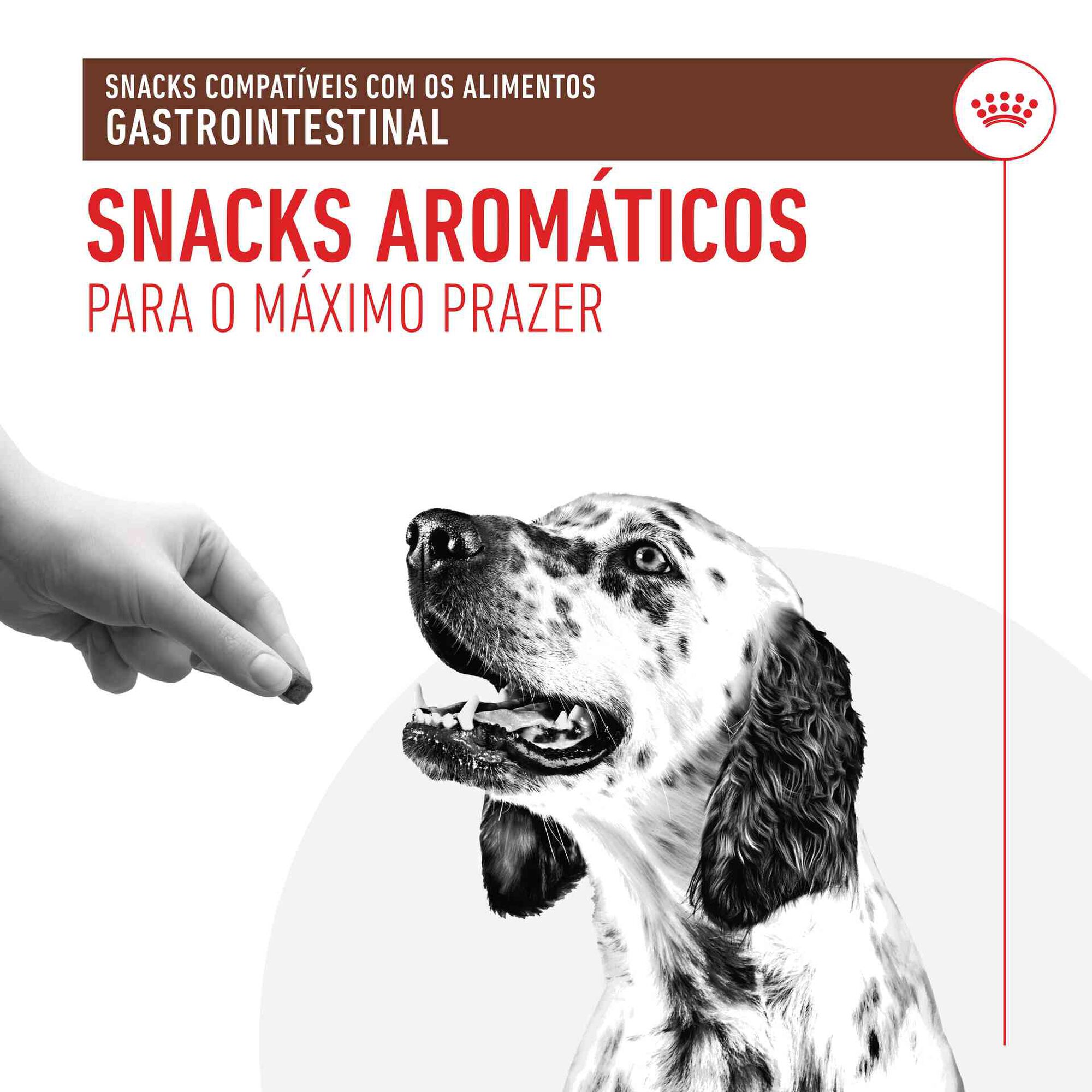 Snack para Cão Adulto Gastrointestinal Treats