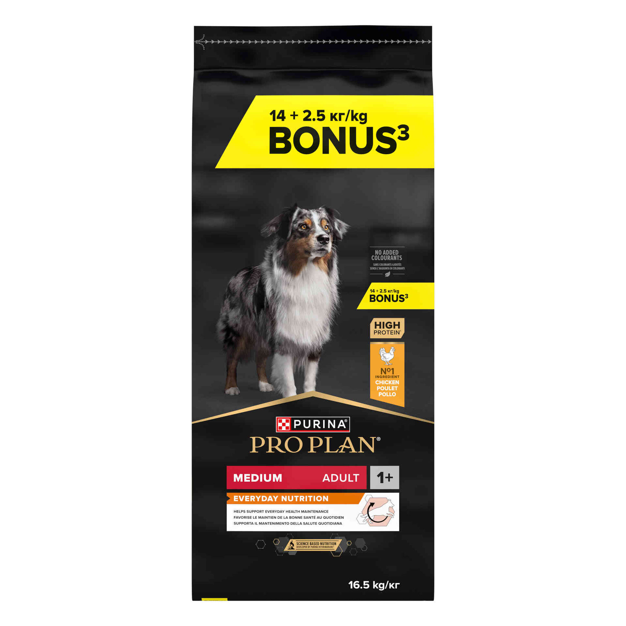 Ração para Cão Adulto Médio Everyday Nutrition Frango