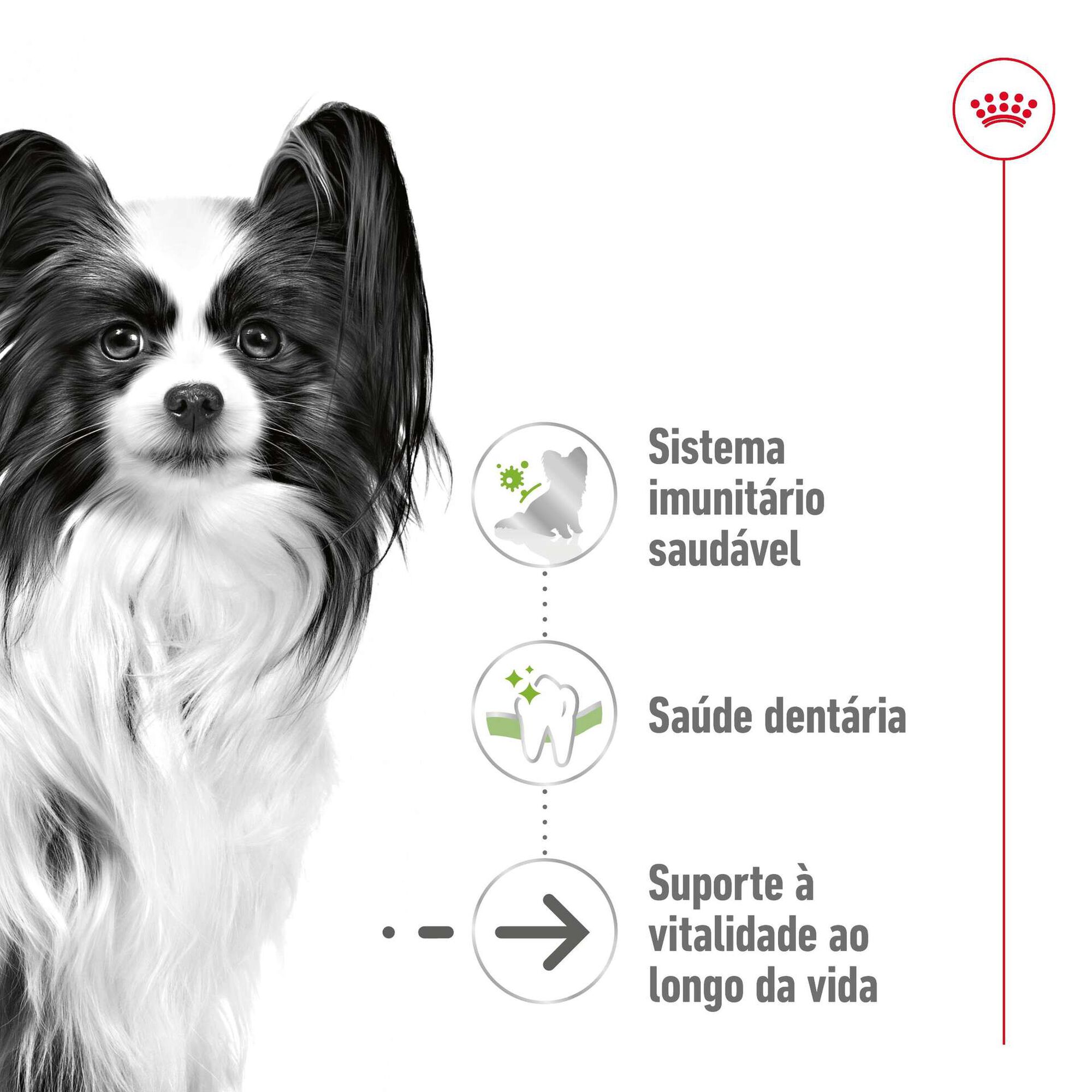Ração para Cão Sénior X-small Ageing 12+