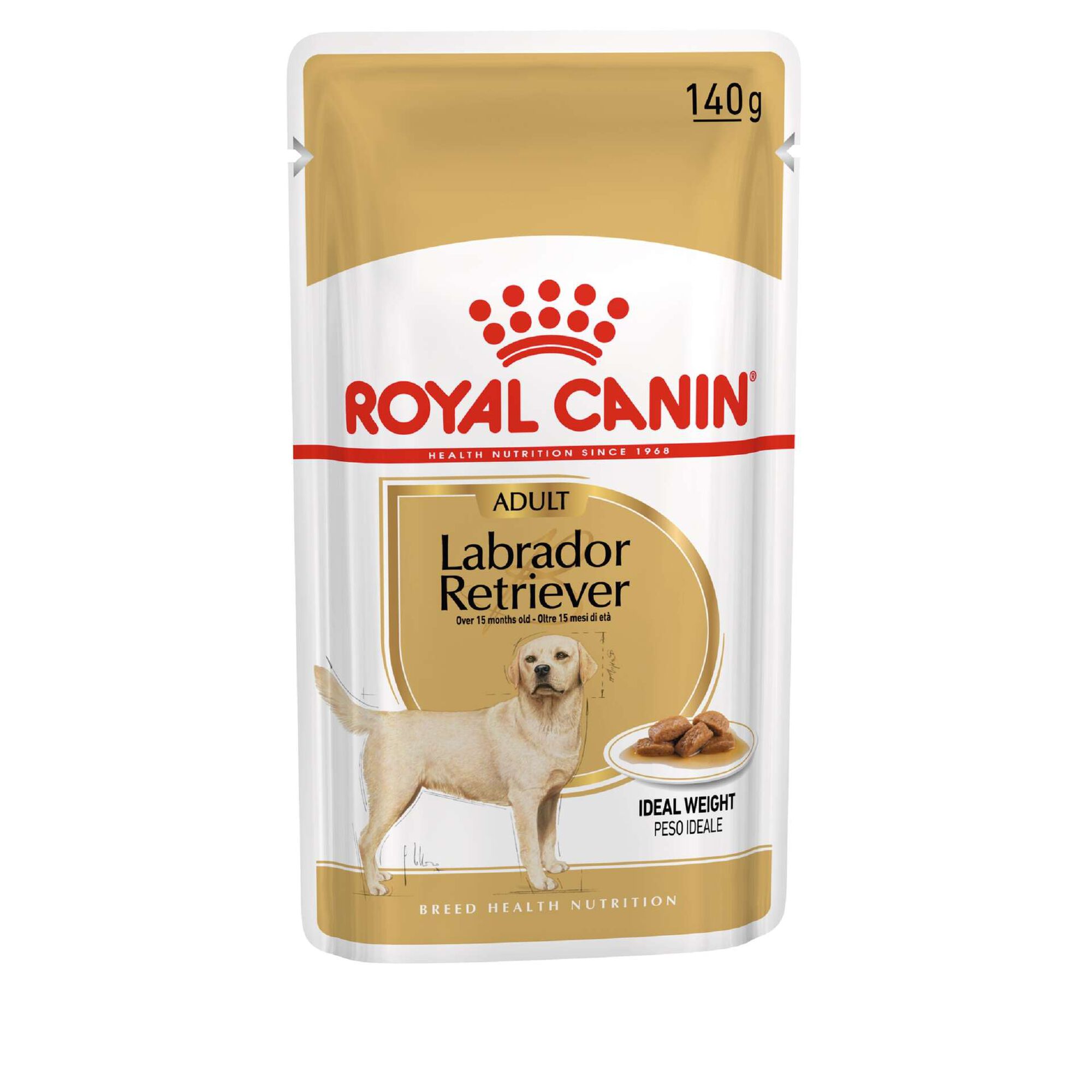 Caixa Comida Húmida para Cão Labrador Caixa Comida Húmida para Cão Labrador