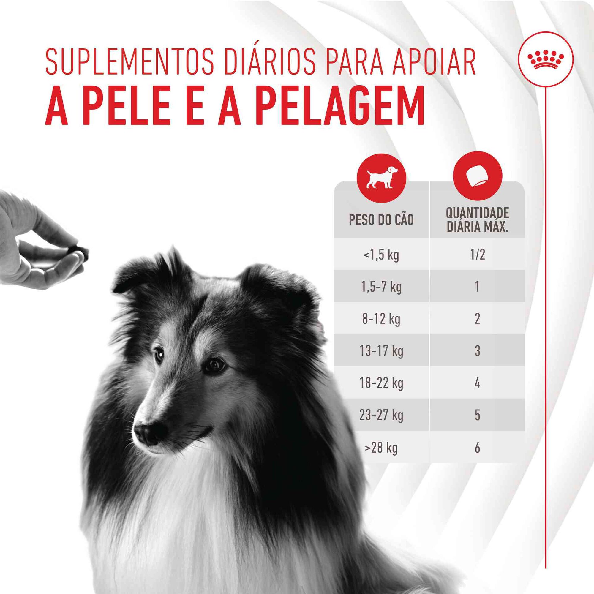 Suplemento Snack para Cão Adulto Skin&Coat Chews