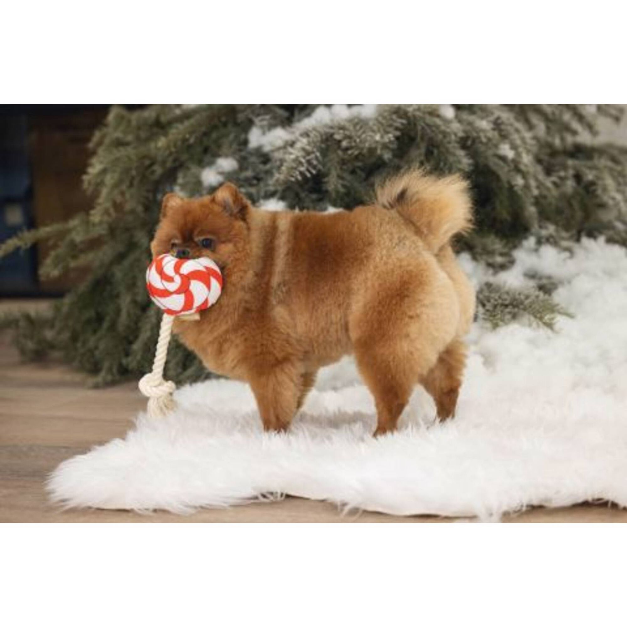 Brinquedo para Cão LollyPop Natal