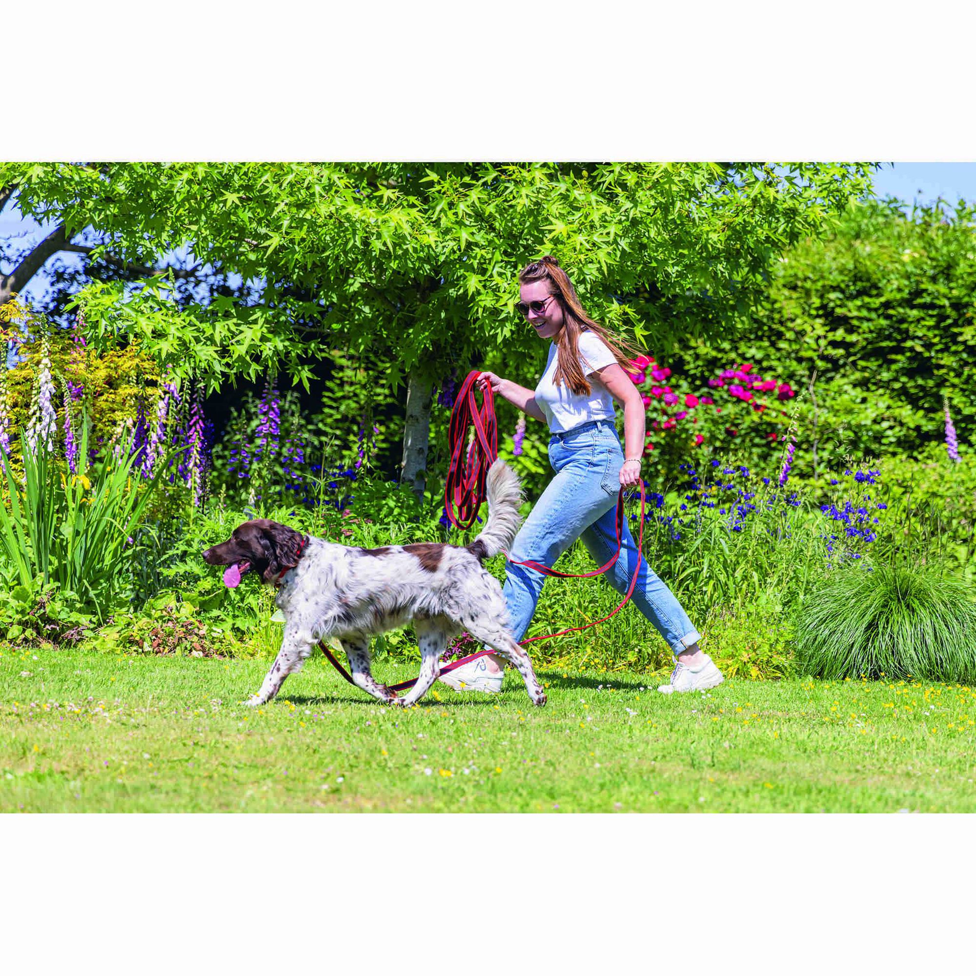 Trela para Cão Treino Nylon Vermelha