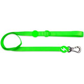 Trela para Cão Verde Neon