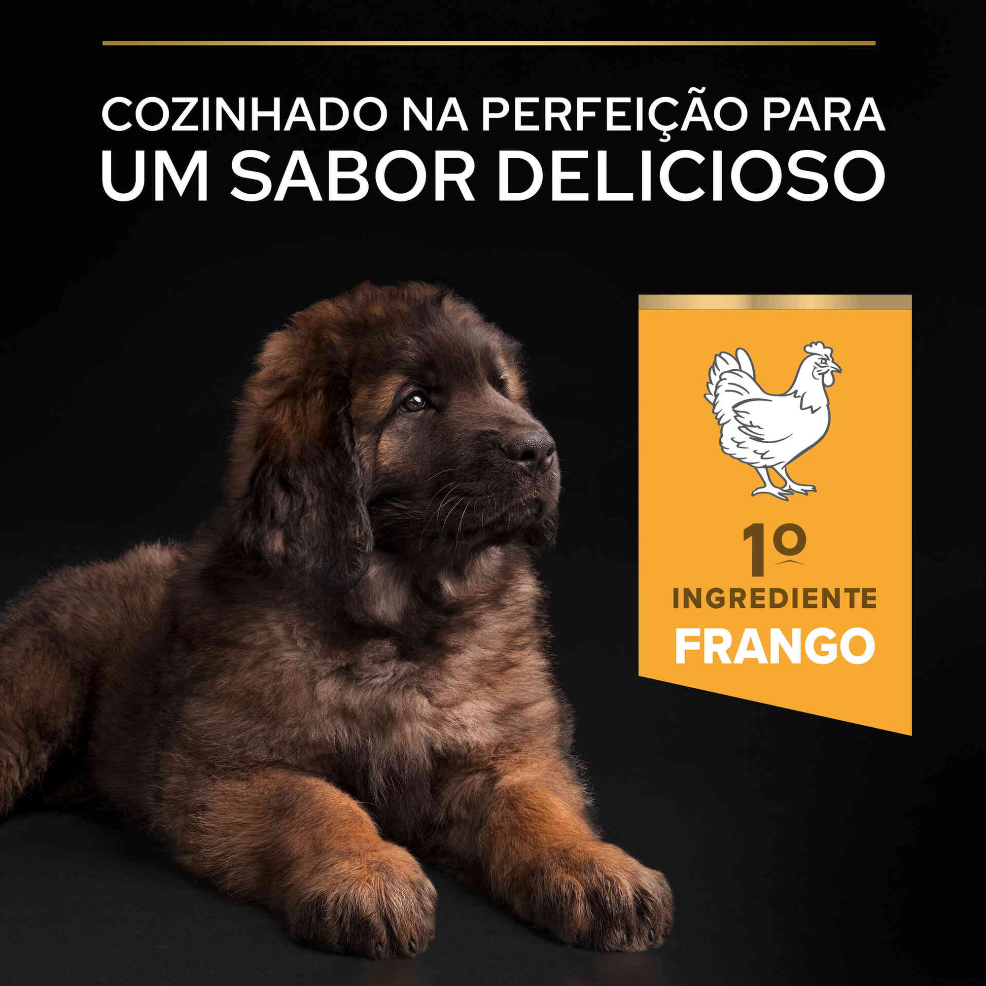 Ração para Cão Júnior Maxi Robusto Healthy Start
