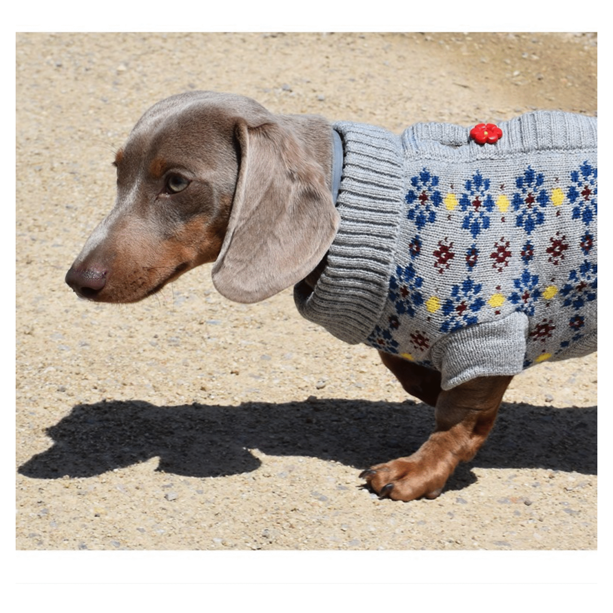 Camisola para Cão Jersey Flower 25 cm