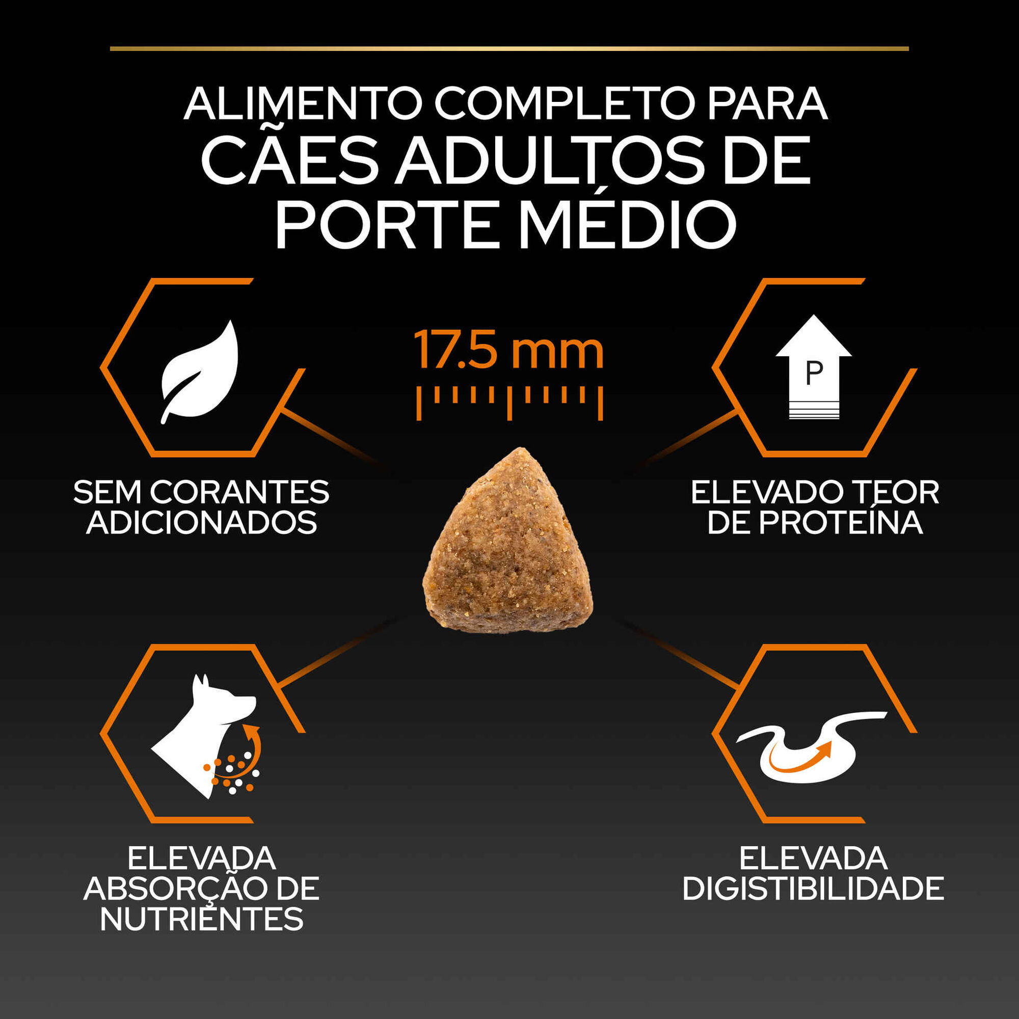 Ração para Cão Adulto Médio Everyday Nutrion Frango