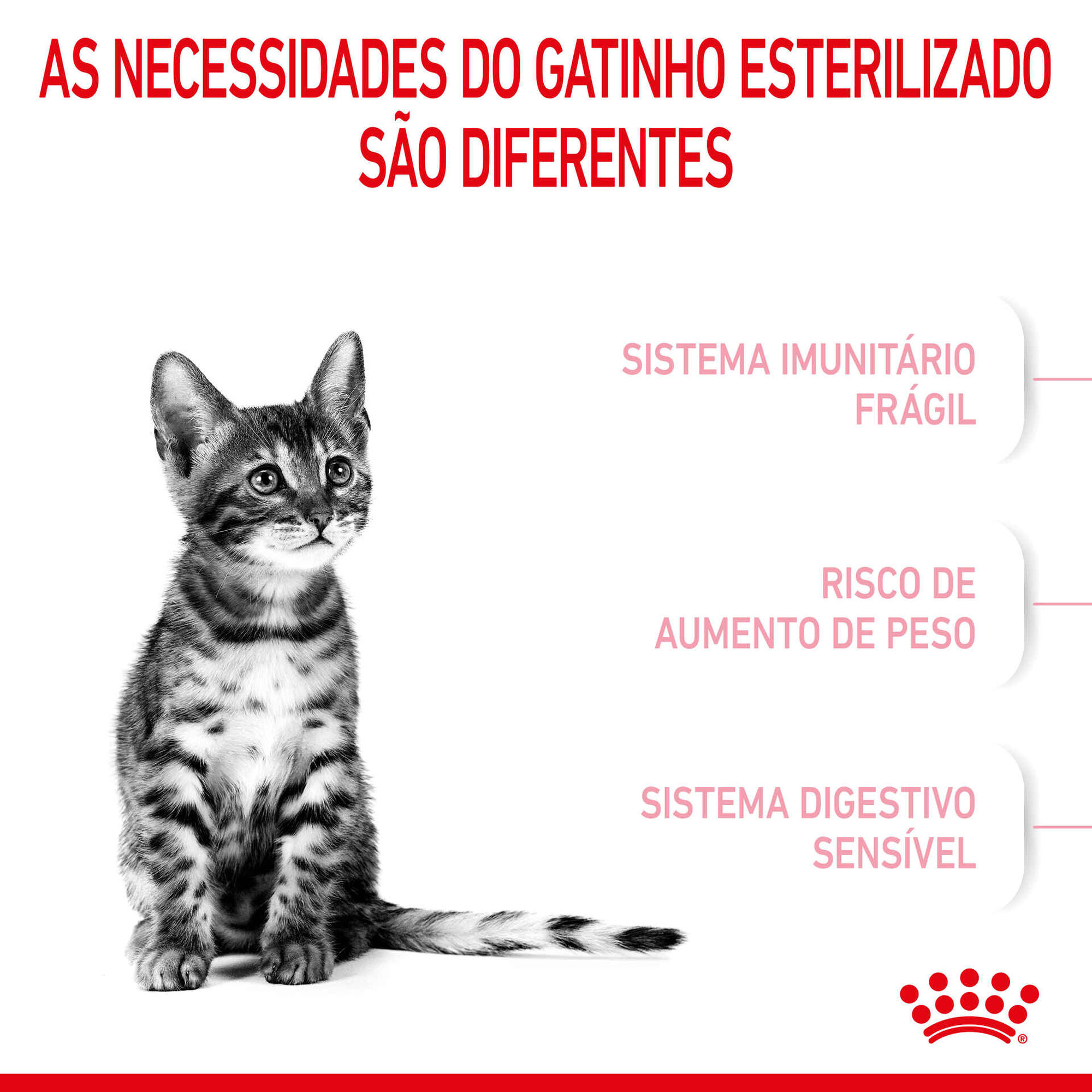 Ração para Gato Esterilizado Júnior