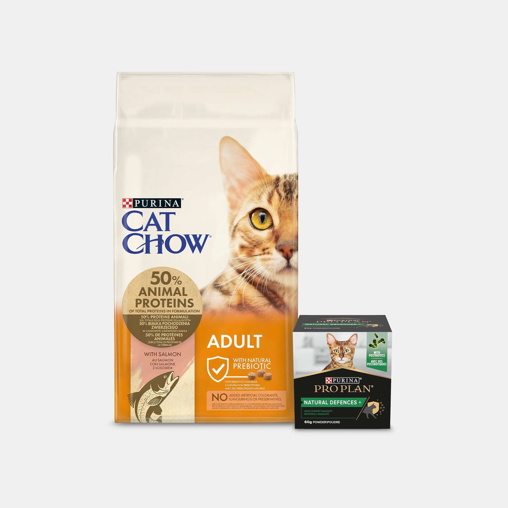 Ração e Suplementos Para o Seu Gato Ração e Suplementos Para o Seu Gato