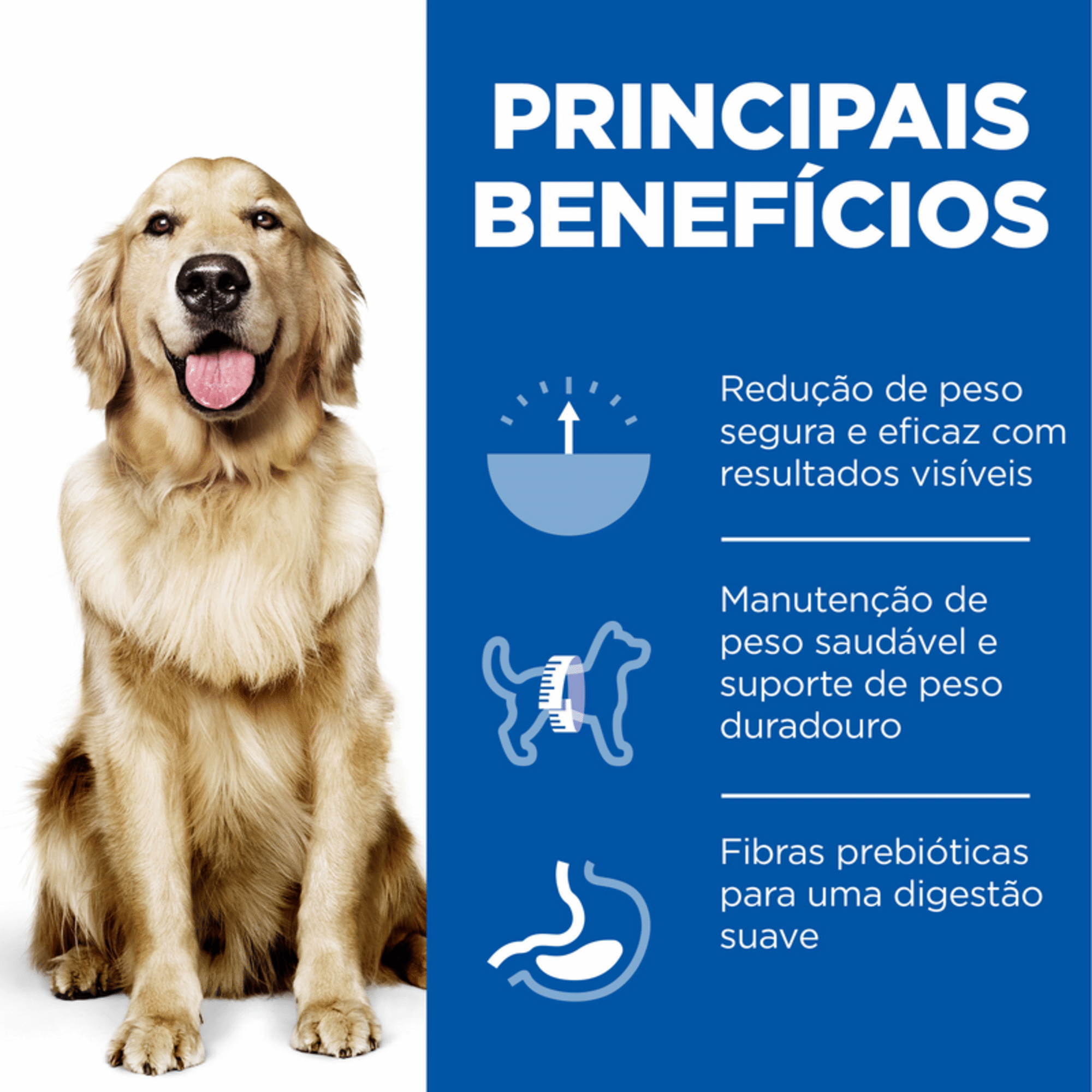 Ração para Cão Adulto Maxi Science Plan Perfect Weight Frango Ração para Cão Adulto Maxi Science Plan Perfect Weight Frango
